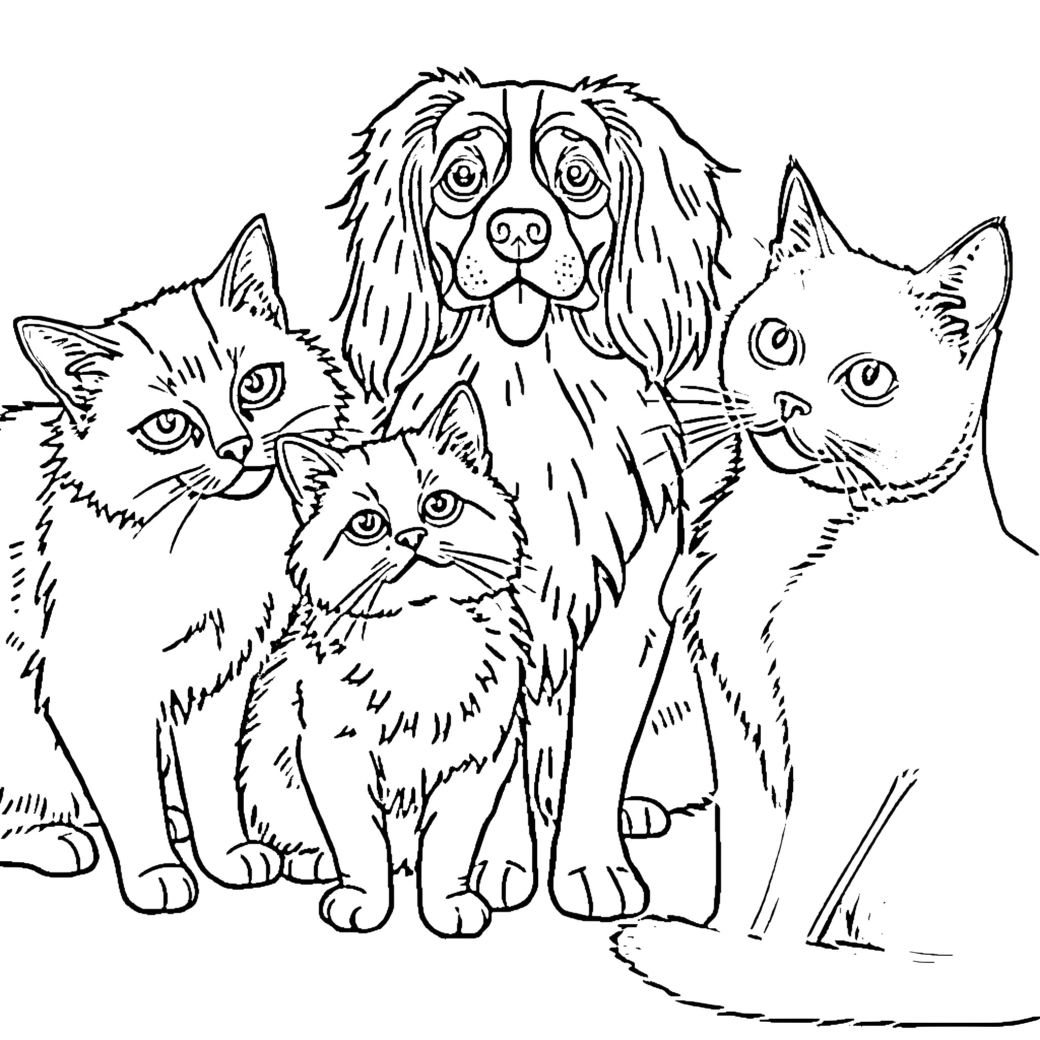 Cat and dog companions in a playful pose Coloring Page (free black-and-white line drawing printable PDF for all, from beginners to advanced learners, including children, teens, adults, and seniors)