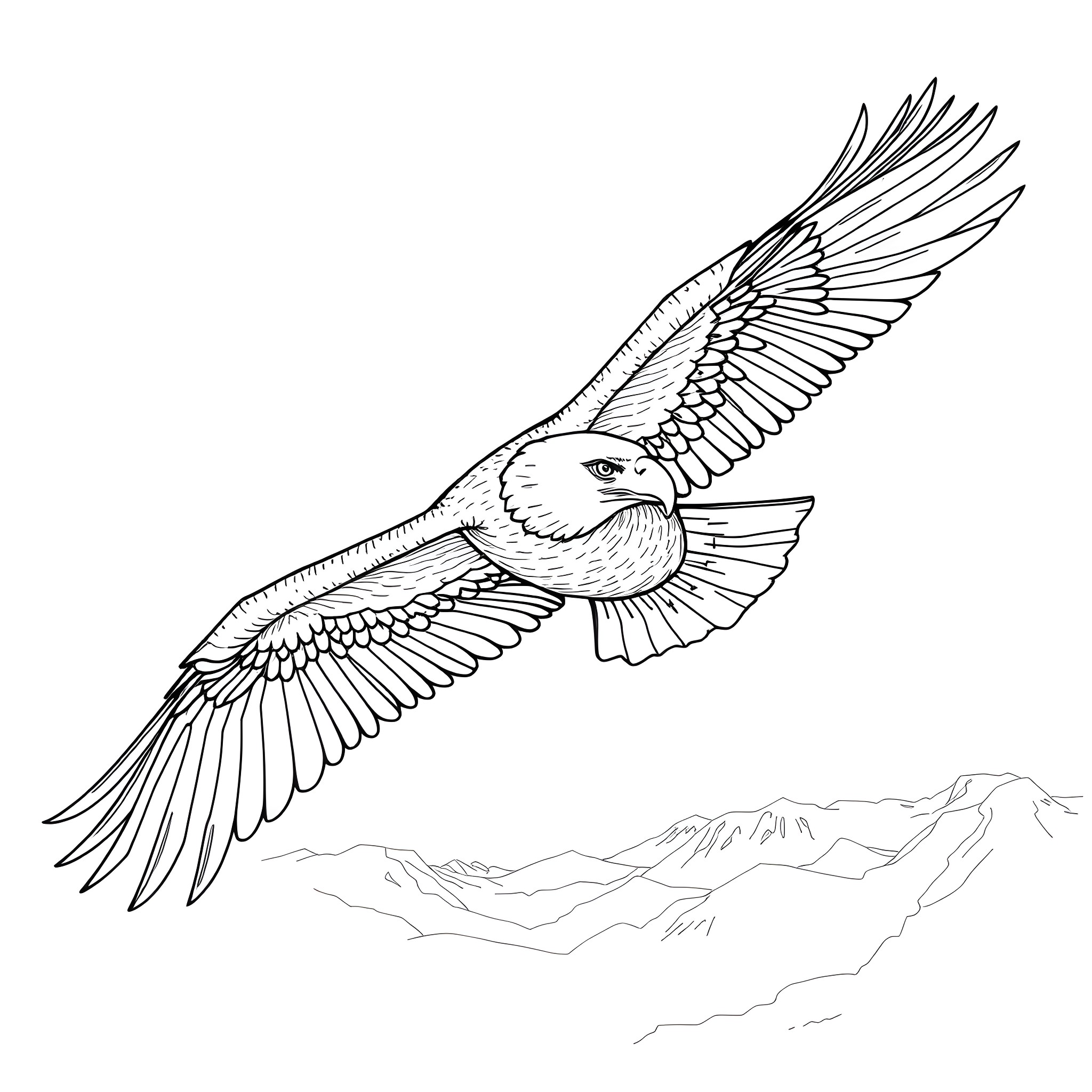 Eagle soaring gracefully through the sky Coloring Page (free black-and-white line drawing printable PDF for all, from beginners to advanced learners, including children, teens, adults, and seniors)