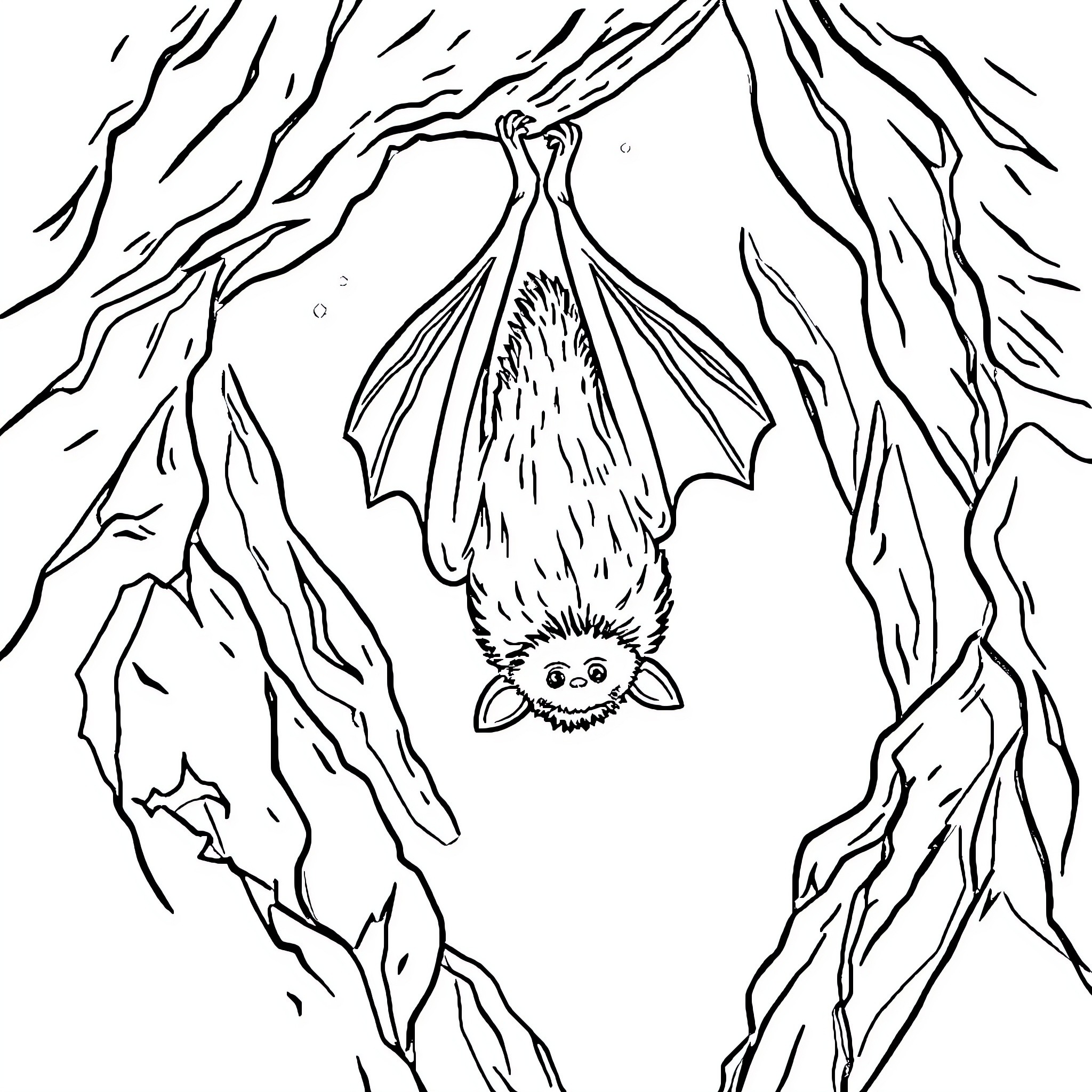 Bat hanging upside down in cave Coloring Page (free black-and-white line drawing printable PDF for all, from beginners to advanced learners, including children, teens, adults, and seniors)
