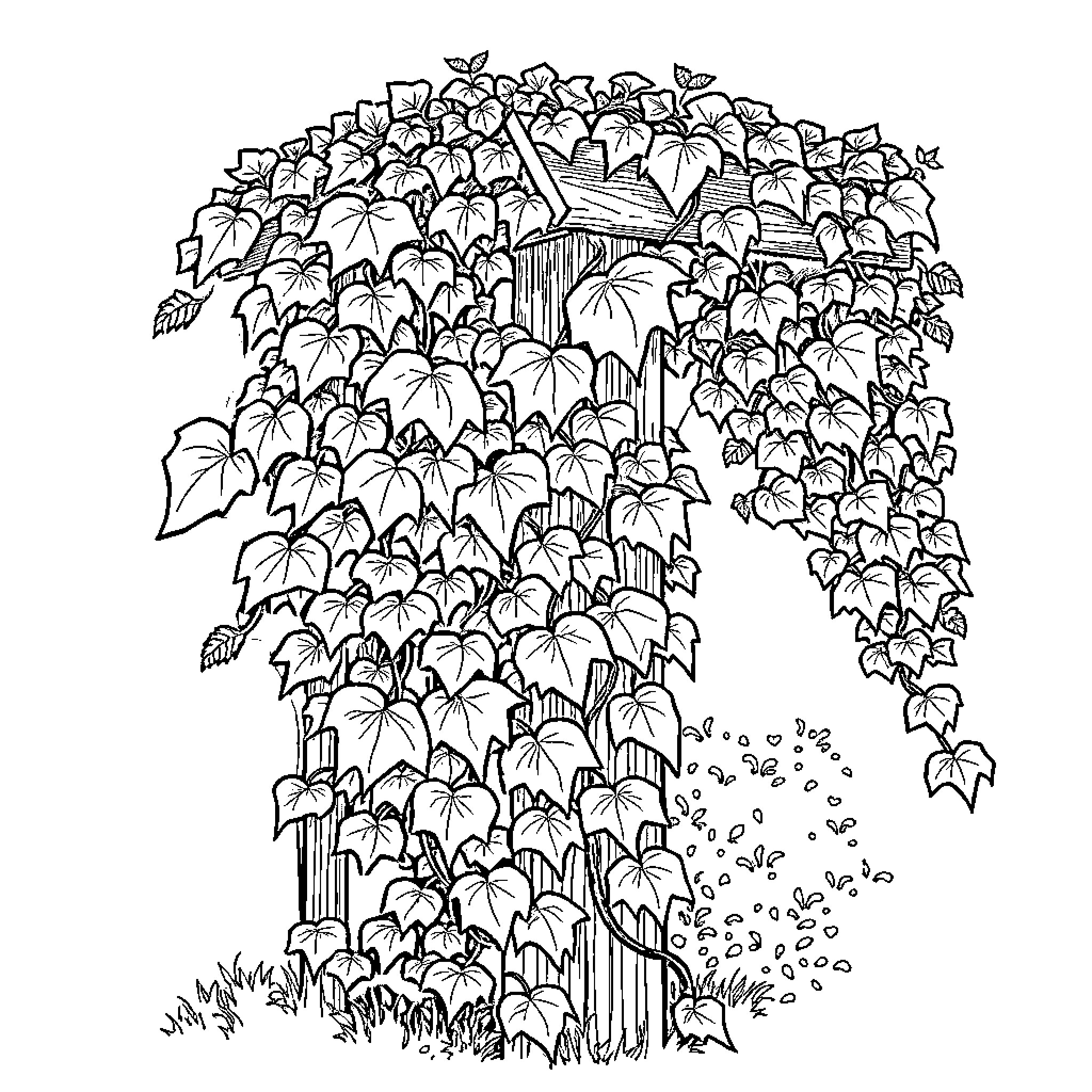 Ivy Covered Waterfall Landscape Coloring Page (free black-and-white line drawing printable PDF for all, from beginners to advanced learners, including children, teens, adults, and seniors)