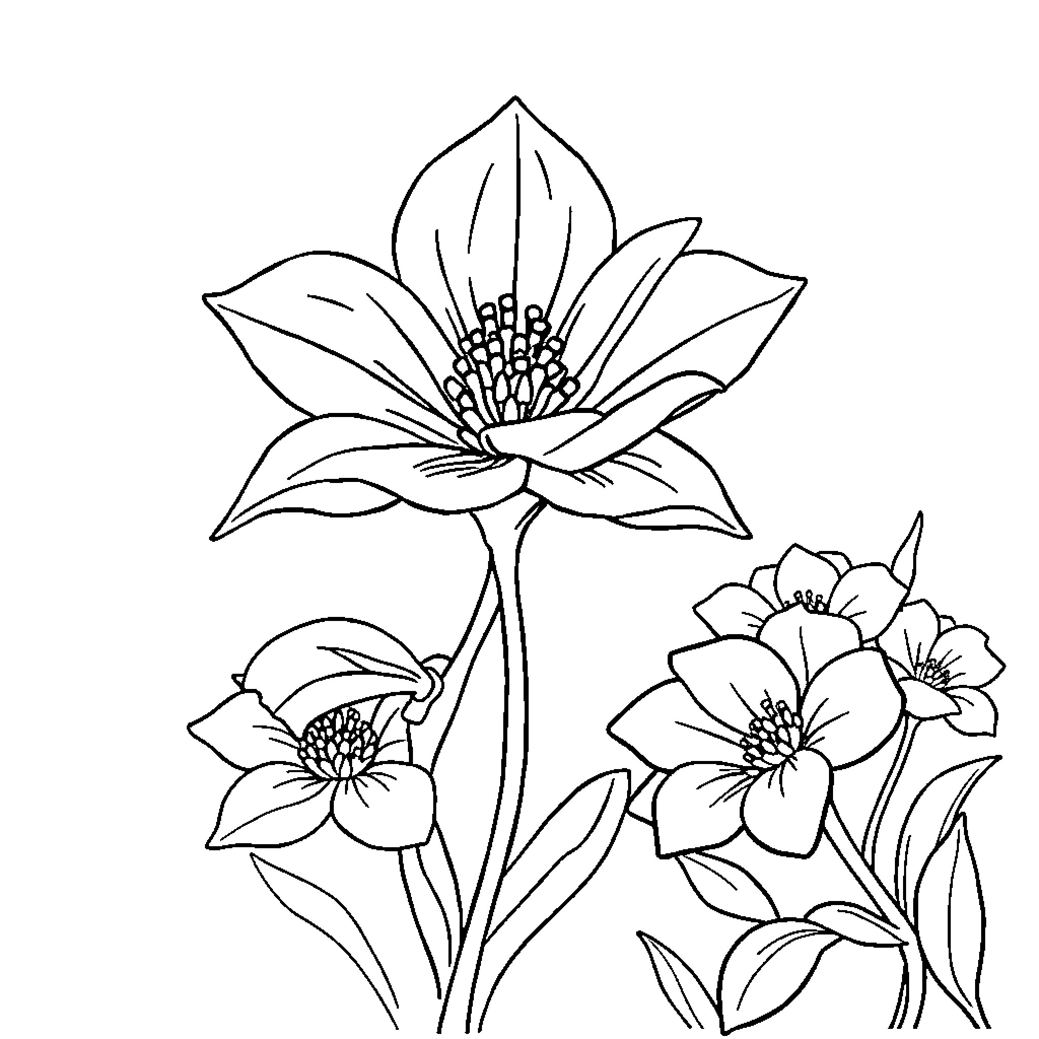 Flower blooming in elegant design Coloring Page (free black-and-white line drawing printable PDF for all, from beginners to advanced learners, including children, teens, adults, and seniors)