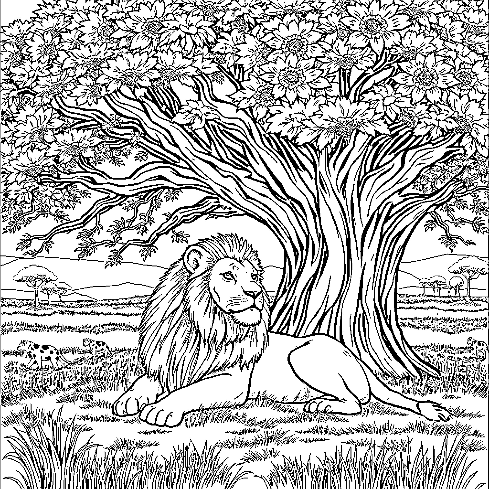 Lion resting under the shade of a tree Coloring Page (free black-and-white line drawing printable PDF for all, from beginners to advanced learners, including children, teens, adults, and seniors)