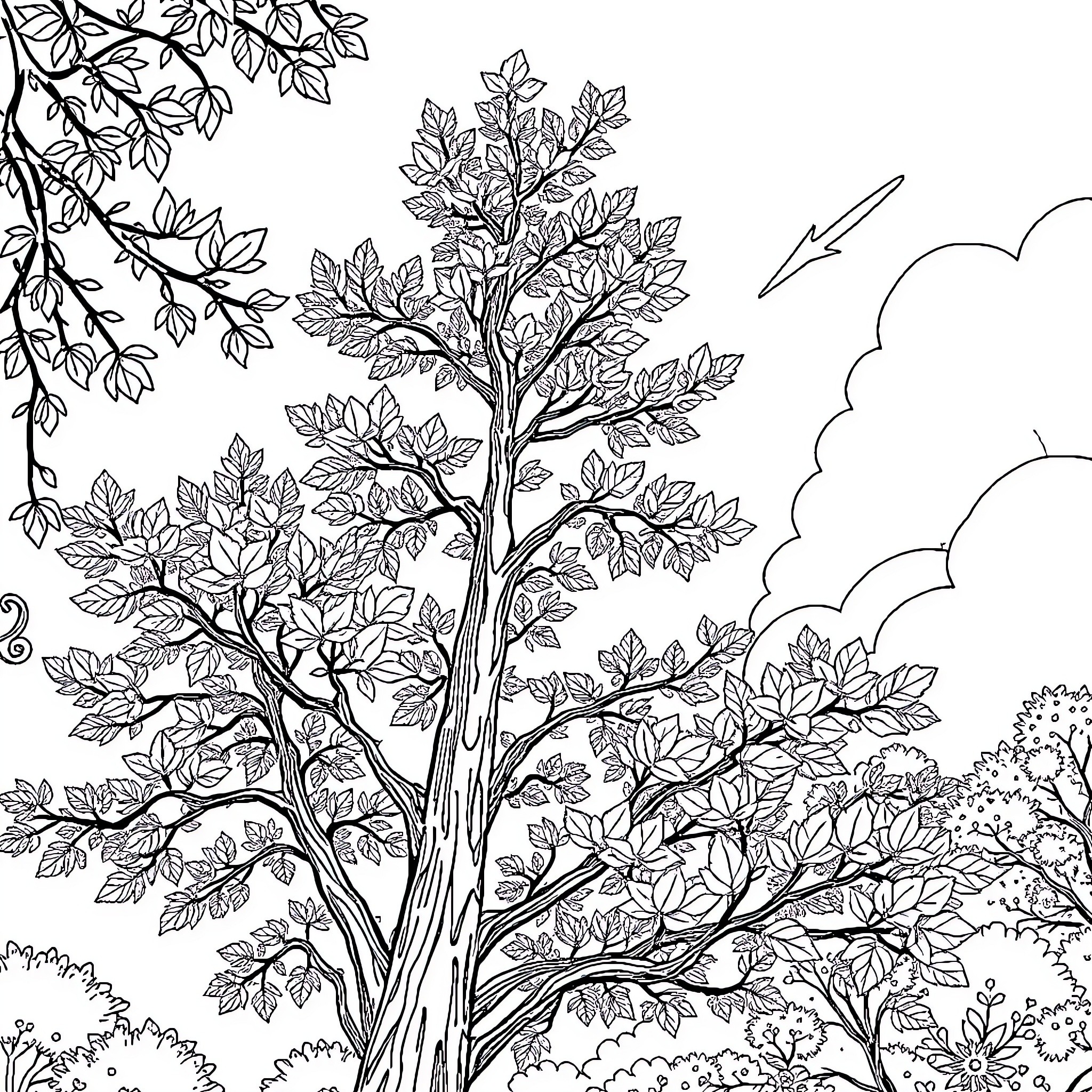 Tree with Lush Foliage in Serene Landscape Coloring Page (free black-and-white line drawing printable PDF for all, from beginners to advanced learners, including children, teens, adults, and seniors)