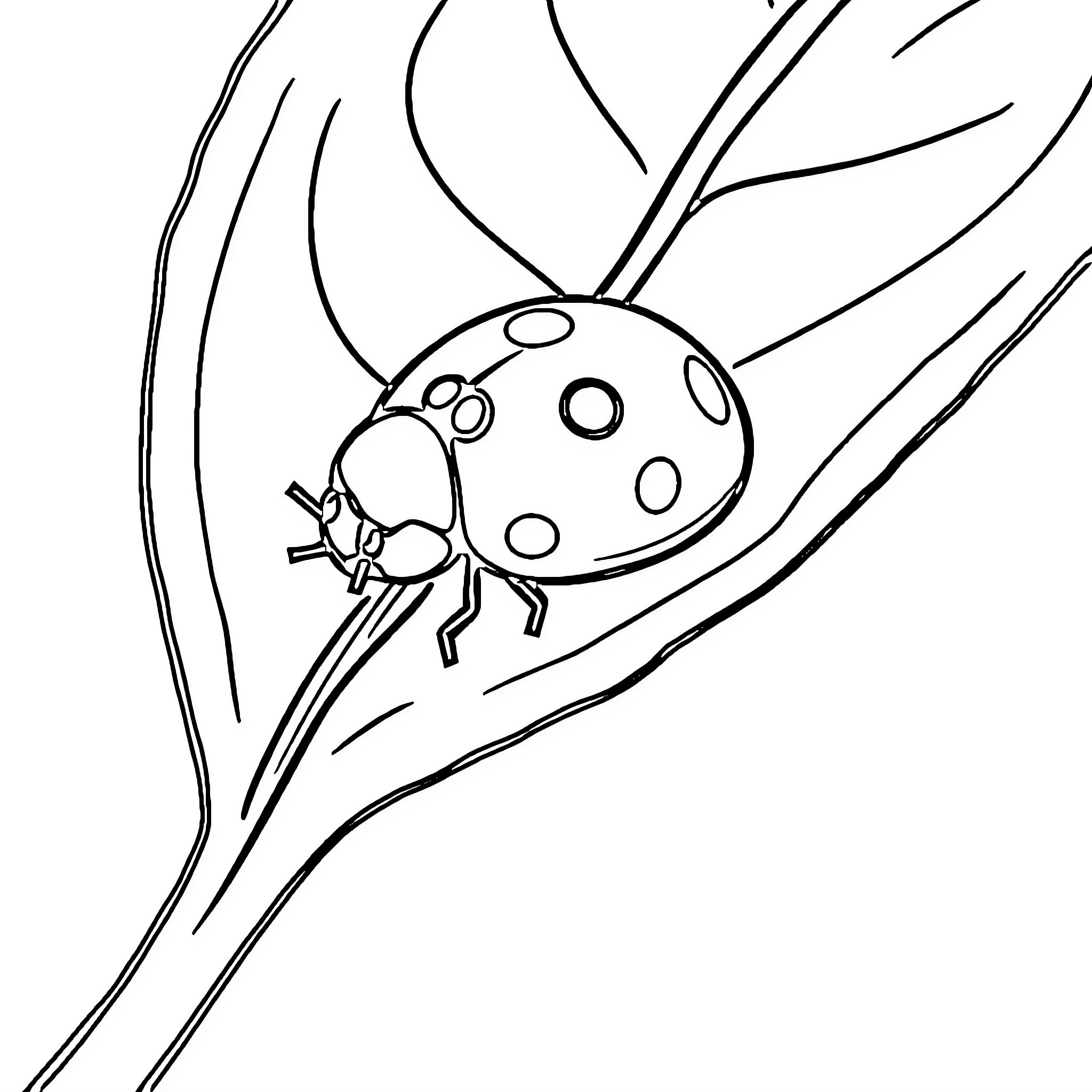 Ladybug crawling on leaf Coloring Page (free black-and-white line drawing printable PDF for all, from beginners to advanced learners, including children, teens, adults, and seniors)
