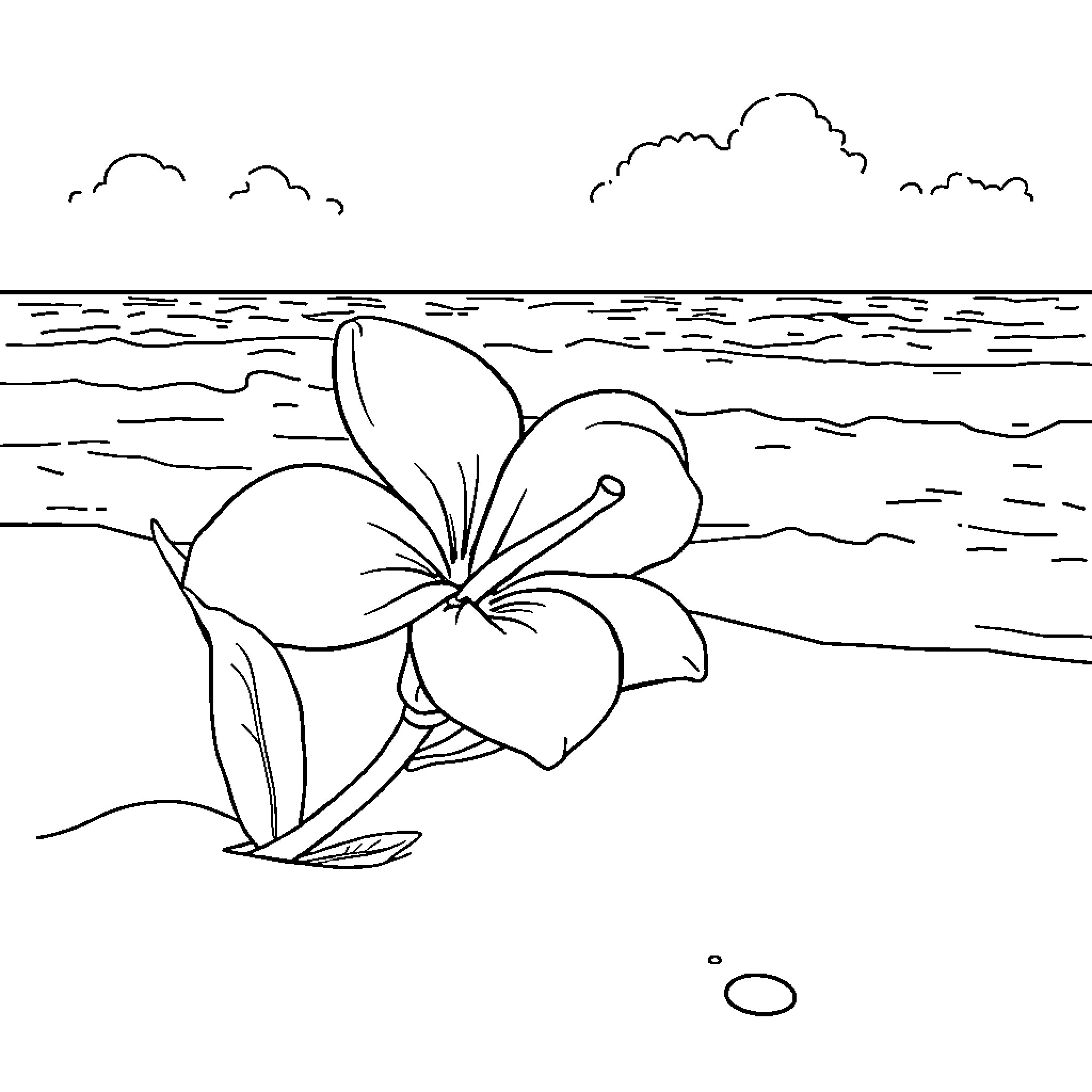 Plumeria flower by the ocean Coloring Page (free black-and-white line drawing printable PDF for all, from beginners to advanced learners, including children, teens, adults, and seniors)