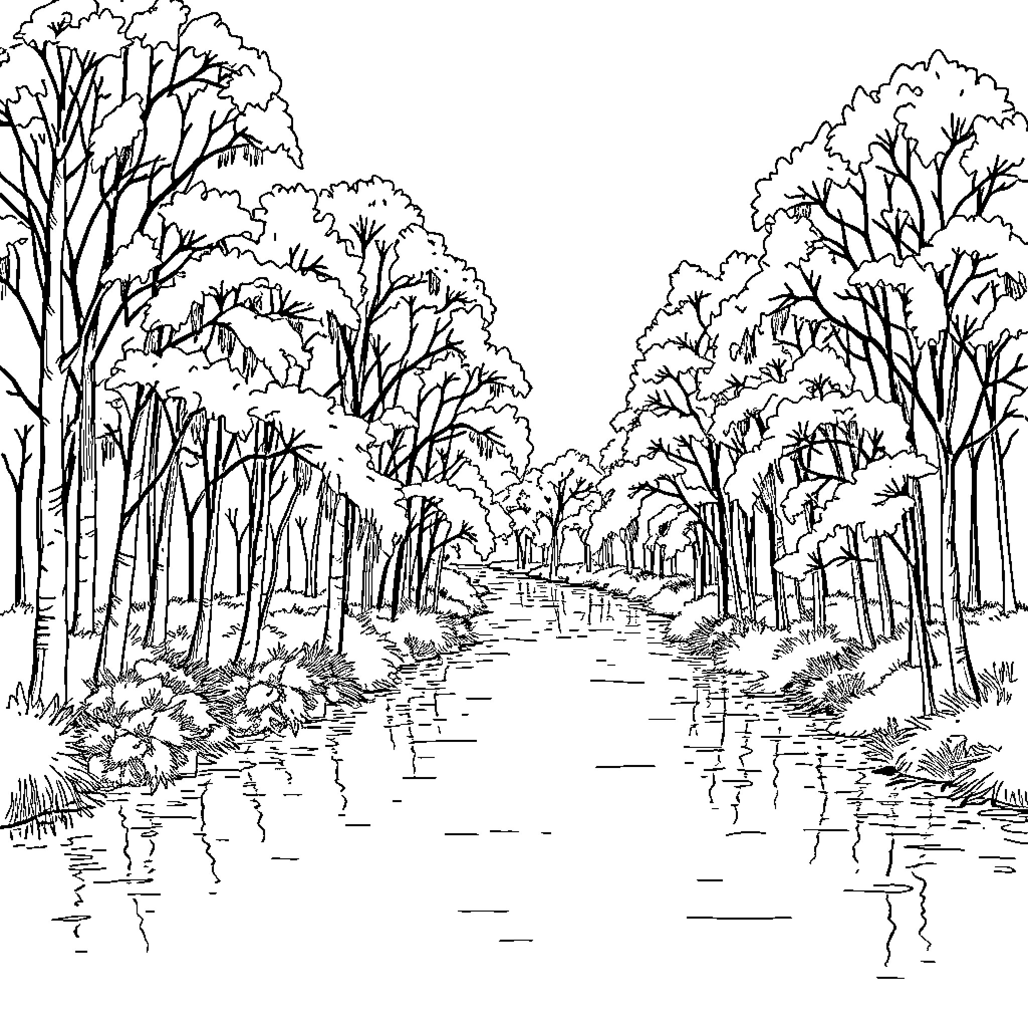 Bushwillow Forest Path with Reflections Coloring Page (free black-and-white line drawing printable PDF for all, from beginners to advanced learners, including children, teens, adults, and seniors)