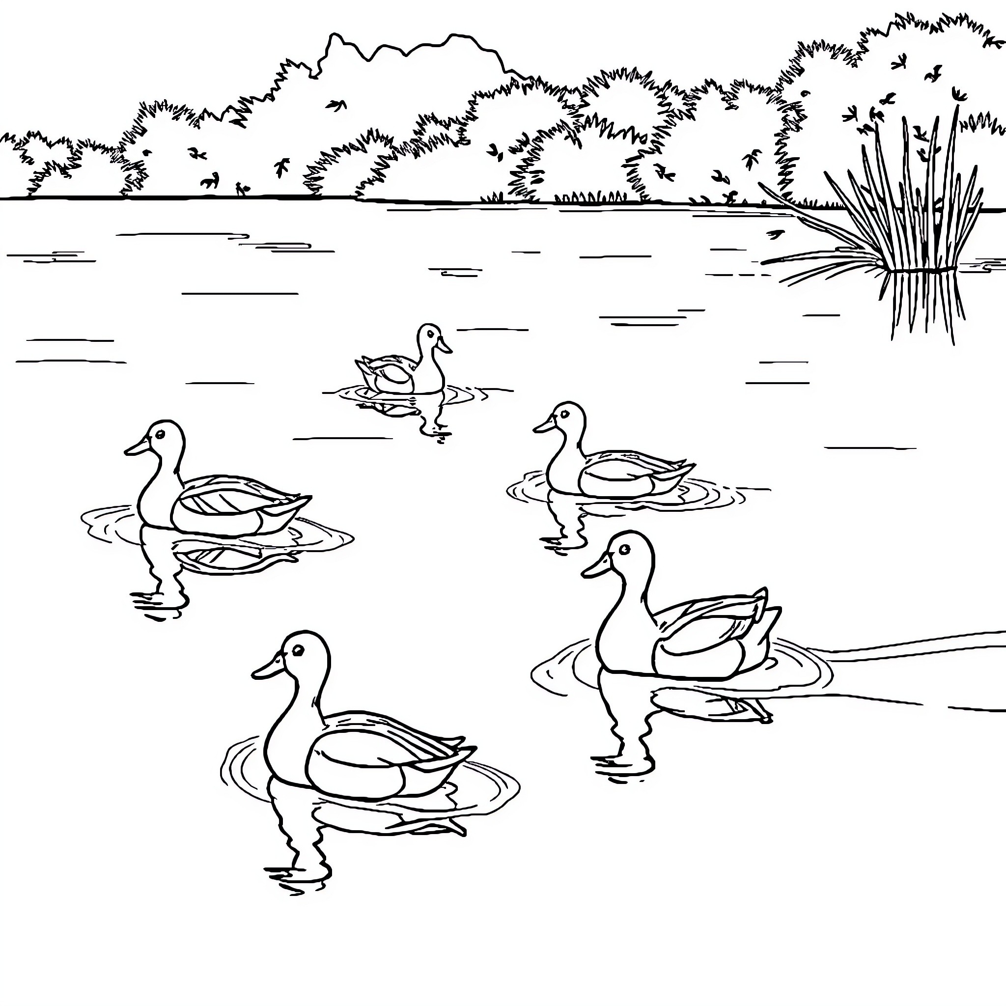 Ducks swimming peacefully in a tranquil lake Coloring Page (free black-and-white line drawing printable PDF for all, from beginners to advanced learners, including children, teens, adults, and seniors)