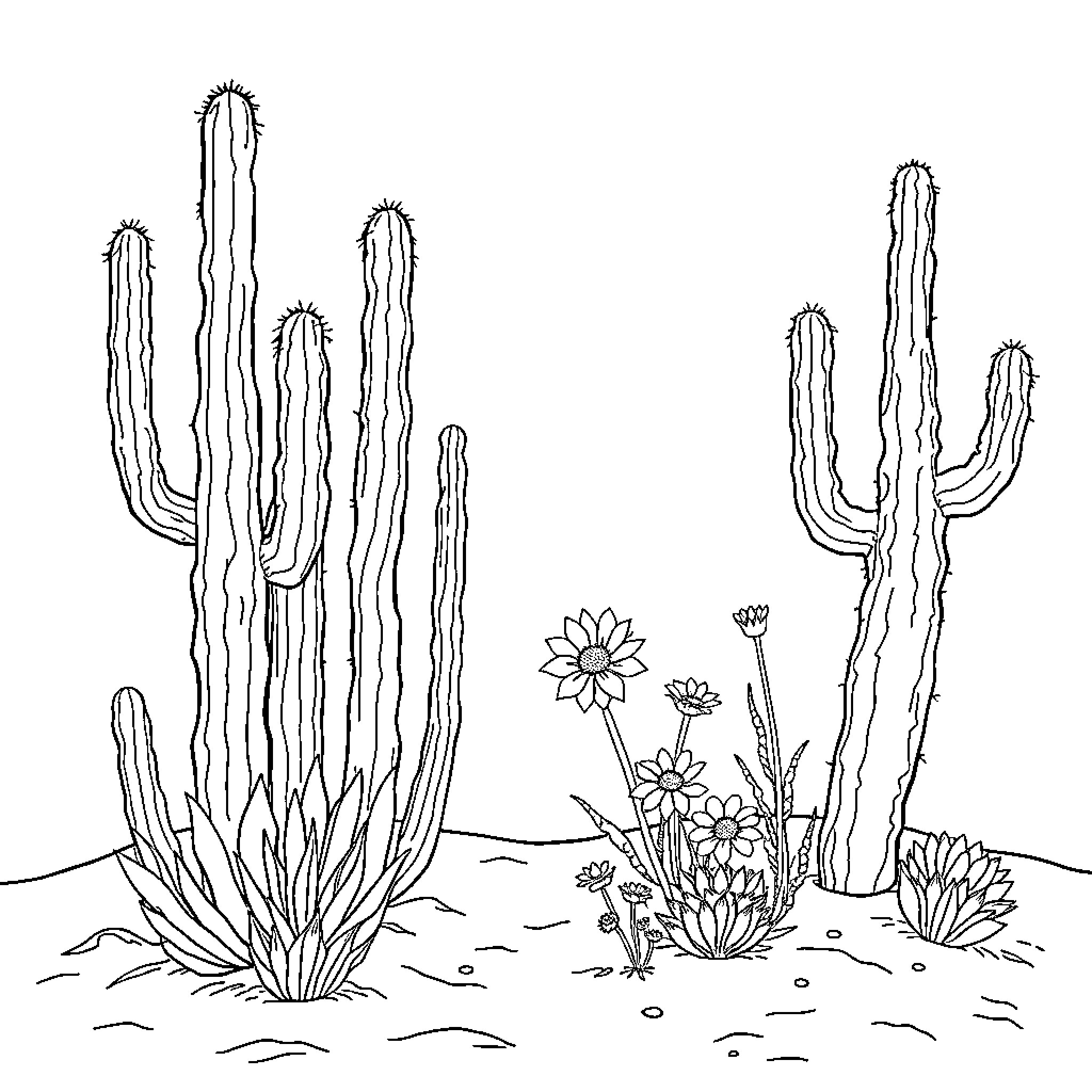 Plant Landscape with Cacti and Flowers Coloring Page (free black-and-white line drawing printable PDF for all, from beginners to advanced learners, including children, teens, adults, and seniors)