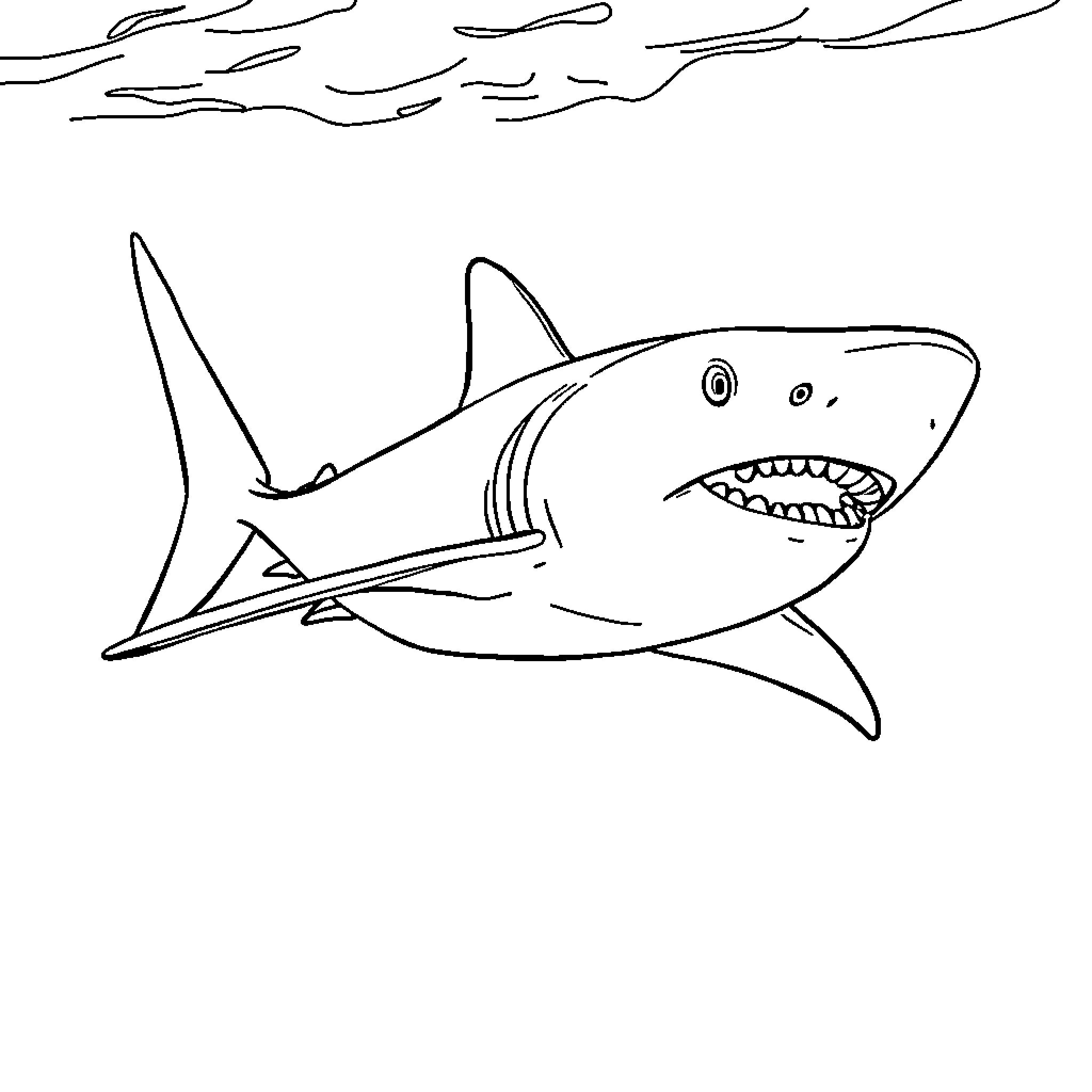 Shark with an open mouth Coloring Page (free black-and-white line drawing printable PDF for all, from beginners to advanced learners, including children, teens, adults, and seniors)