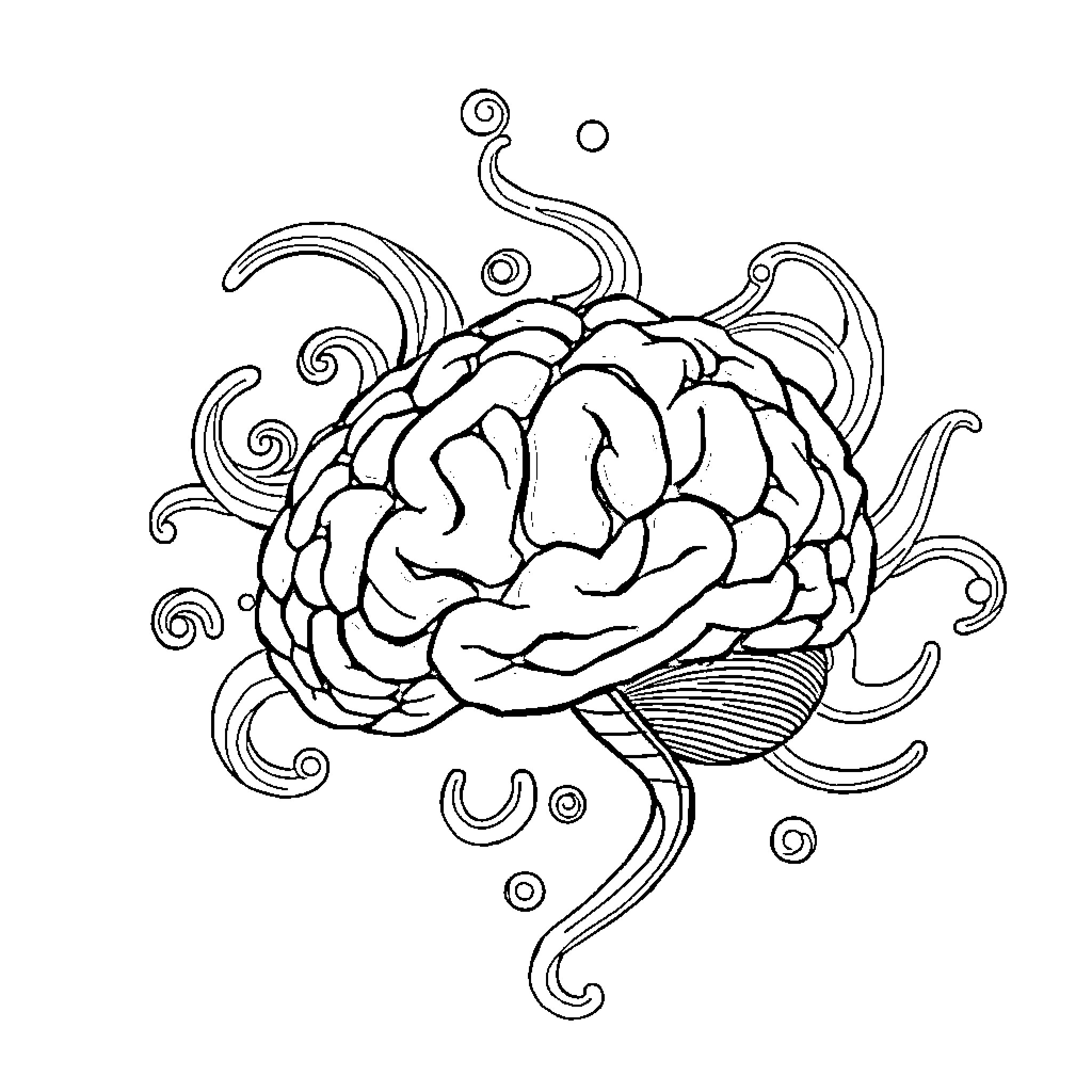Olcalero - Whimsical Brain Illustration Coloring Page (free black-and-white line drawing printable PDF for all, from beginners to advanced learners, including children, teens, adults, and seniors)