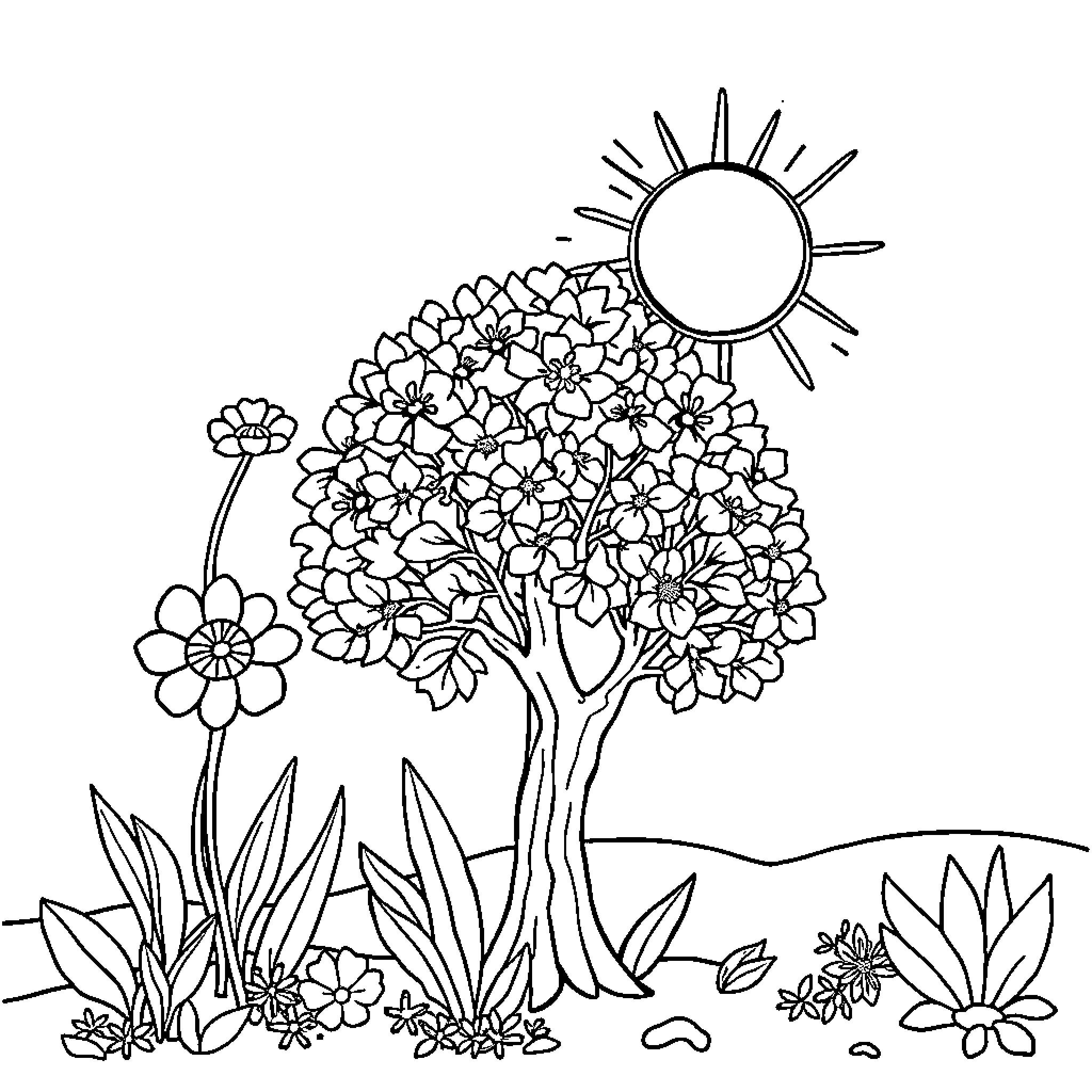 Season of Blooming Flowers and Sunshine Coloring Page (free black-and-white line drawing printable PDF for all, from beginners to advanced learners, including children, teens, adults, and seniors)