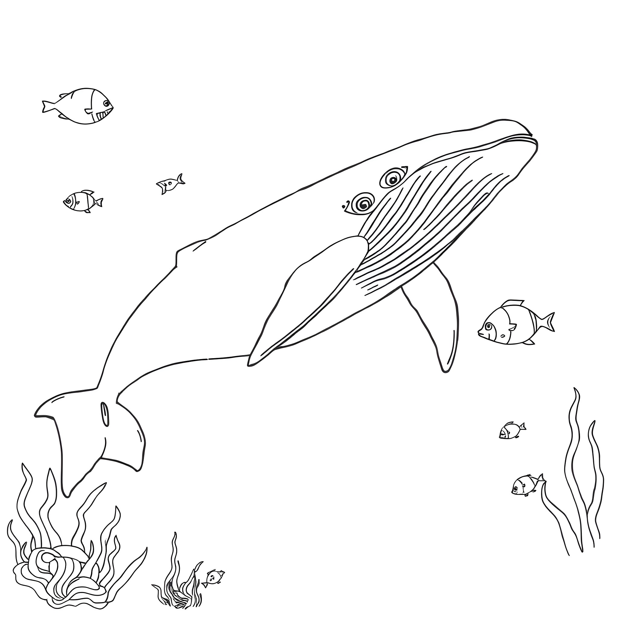 122 Best Whale Coloring Pages (Free Printable PDFs)