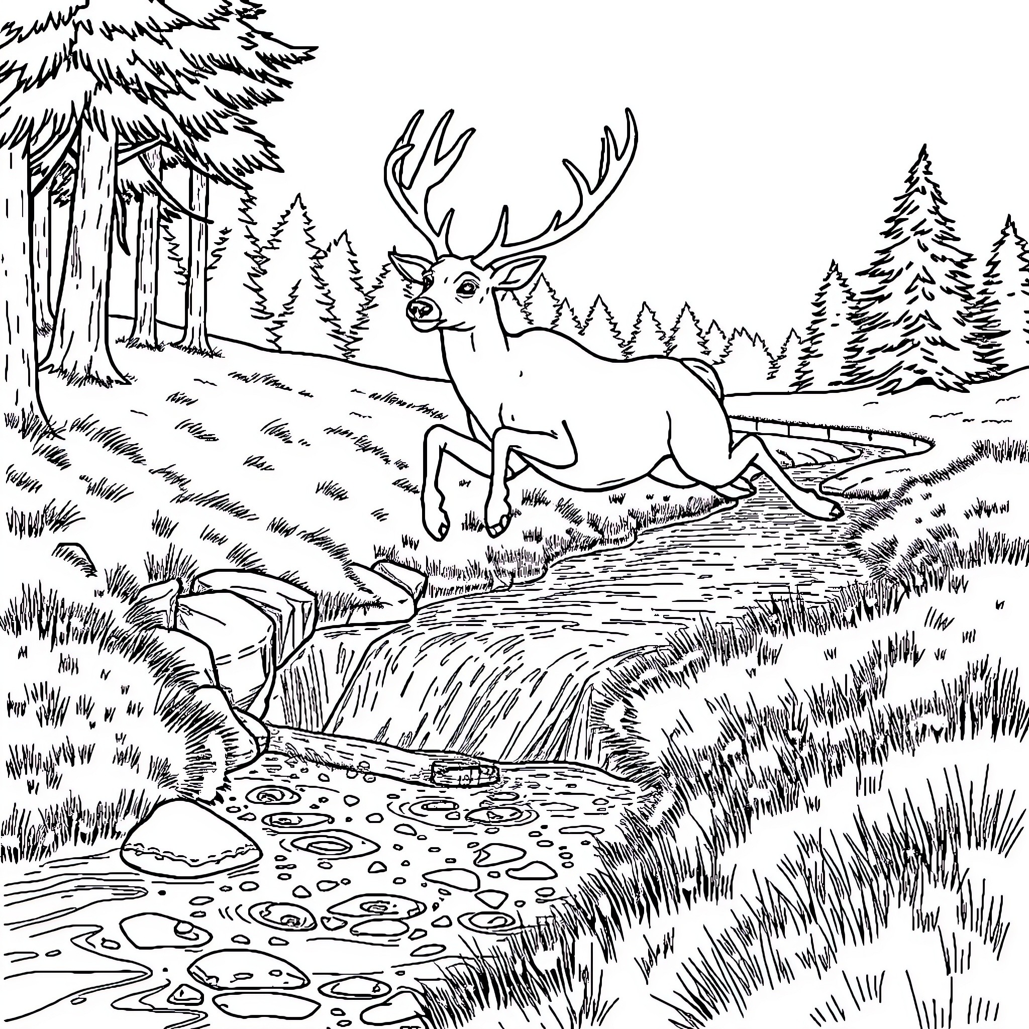 Buck dashing through the forest stream Coloring Page (free black-and-white line drawing printable PDF for all, from beginners to advanced learners, including children, teens, adults, and seniors)