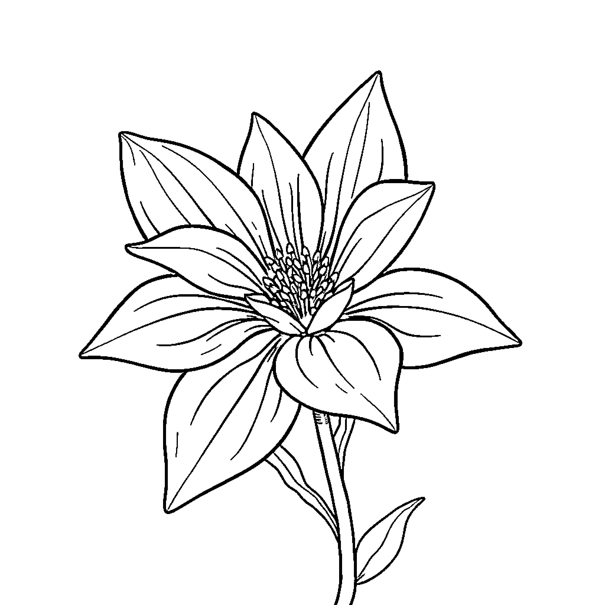 Flower blooming with intricate petals Coloring Page (free black-and-white line drawing printable PDF for all, from beginners to advanced learners, including children, teens, adults, and seniors)