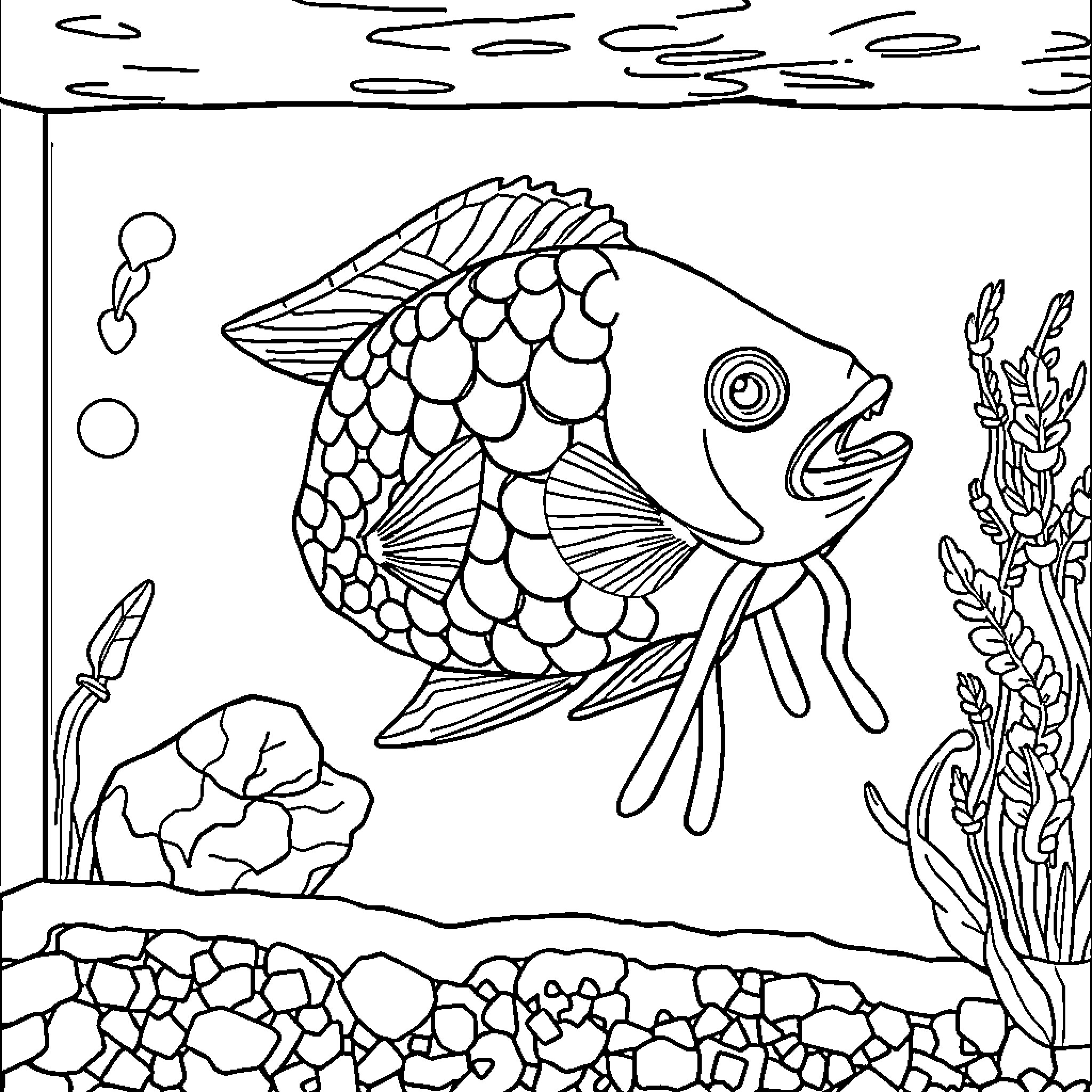 Discus Fish Exploring the Underwater World Coloring Page (free black-and-white line drawing printable PDF for all, from beginners to advanced learners, including children, teens, adults, and seniors)