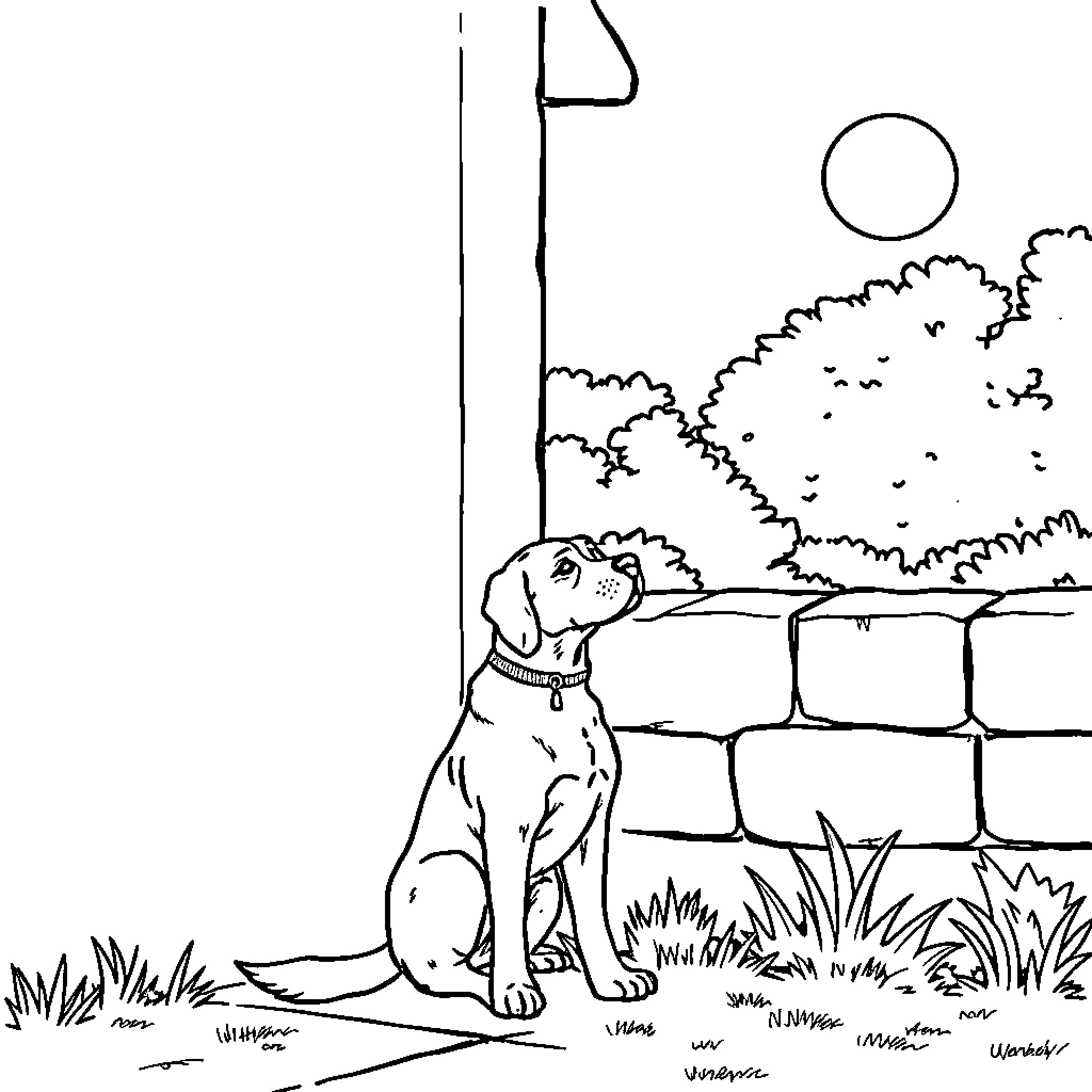 Dog sitting calmly in the garden Coloring Page (free black-and-white line drawing printable PDF for all, from beginners to advanced learners, including children, teens, adults, and seniors)