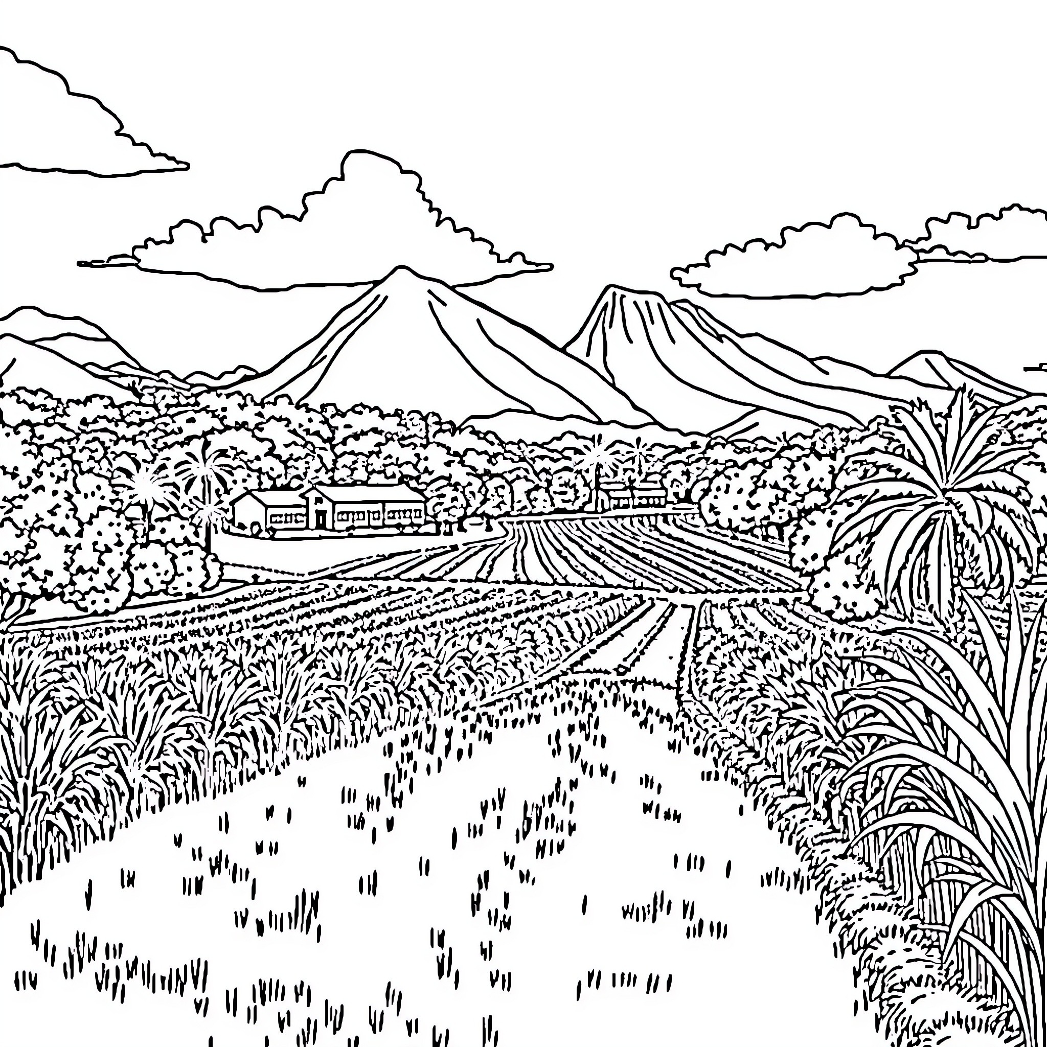 Domaine Saint Aubin: Picturesque Vineyard Landscape Coloring Page (free black-and-white line drawing printable PDF for all, from beginners to advanced learners, including children, teens, adults, and seniors)