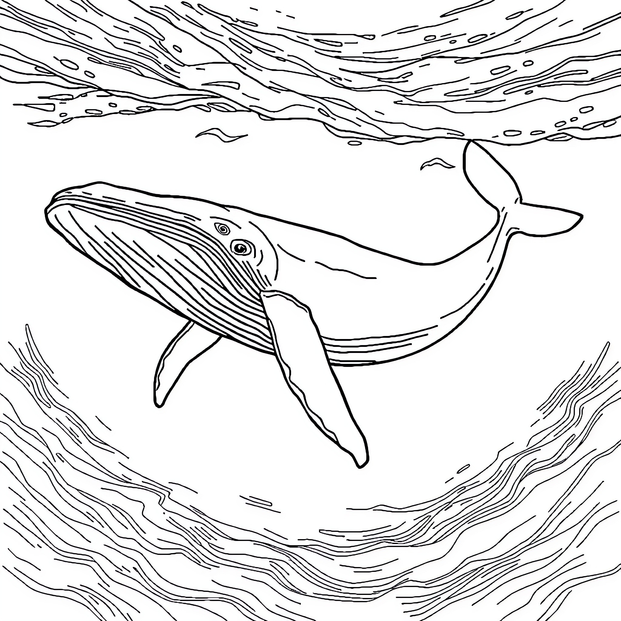 Whale swimming gracefully in the ocean Coloring Page (free black-and-white line drawing printable PDF for all, from beginners to advanced learners, including children, teens, adults, and seniors)