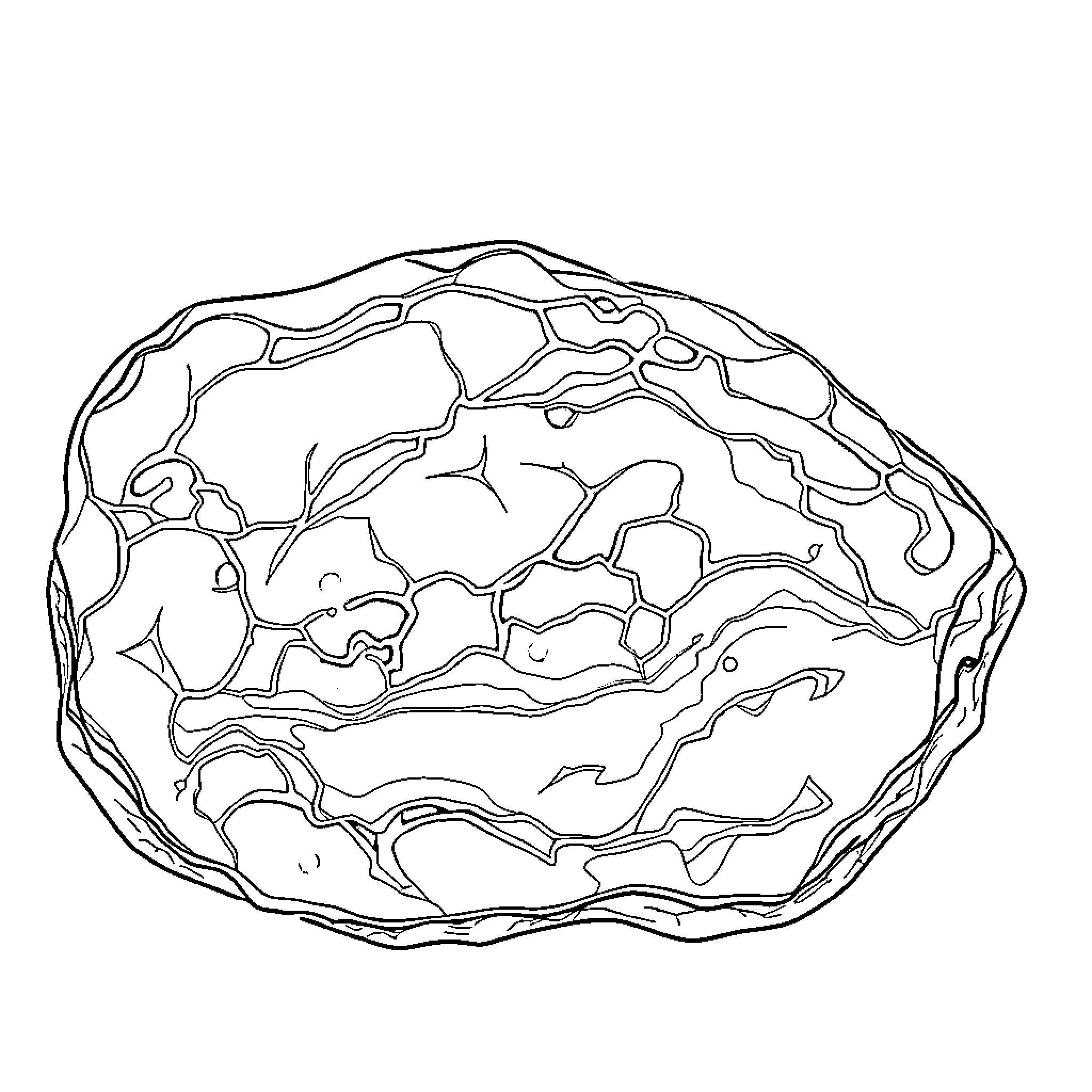 Jade Stone Texture and Pattern Coloring Page (free black-and-white line drawing printable PDF for all, from beginners to advanced learners, including children, teens, adults, and seniors)