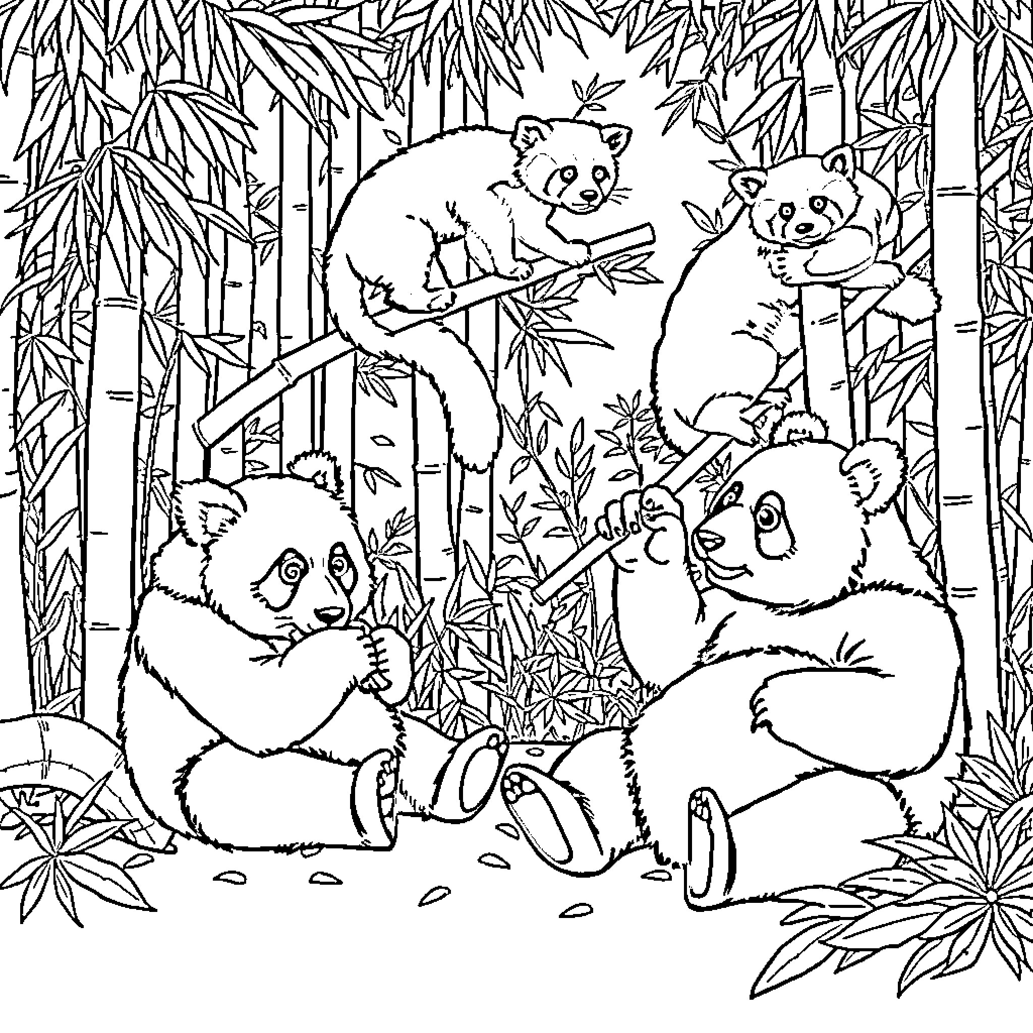 Pandas Playfully Exploring Bamboo Forest Coloring Page (free black-and-white line drawing printable PDF for all, from beginners to advanced learners, including children, teens, adults, and seniors)