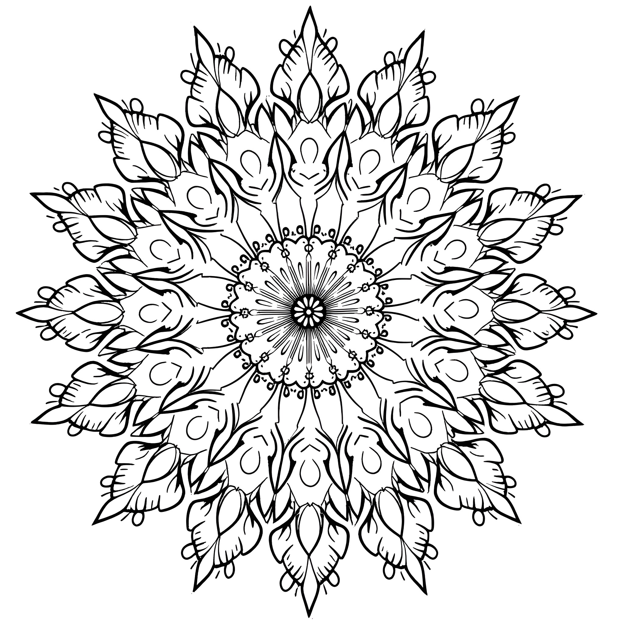 Fractal mandala with intricate leaf-like patterns Coloring Page (free black-and-white line drawing printable PDF for all, from beginners to advanced learners, including children, teens, adults, and seniors)