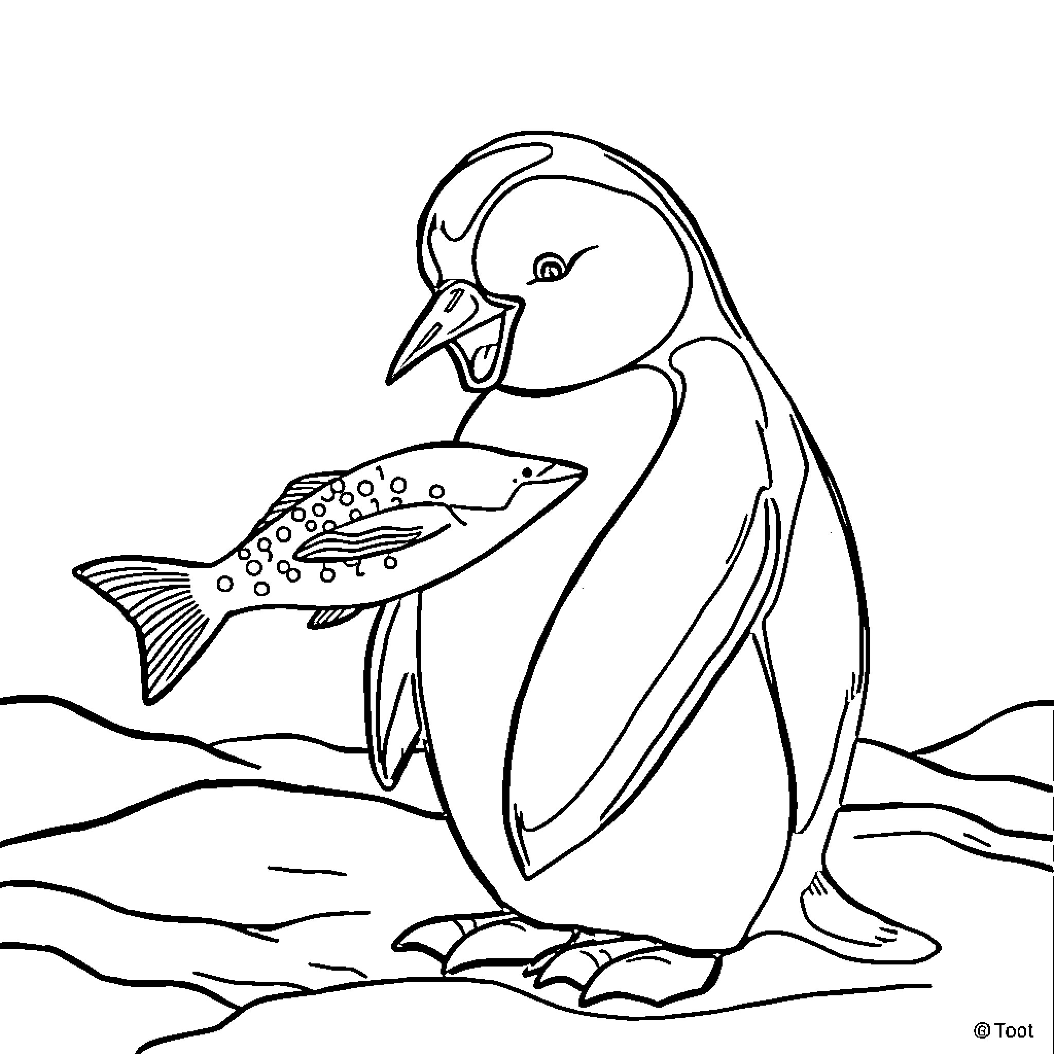 Penguin catching a fish in the ocean Coloring Page (free black-and-white line drawing printable PDF for all, from beginners to advanced learners, including children, teens, adults, and seniors)