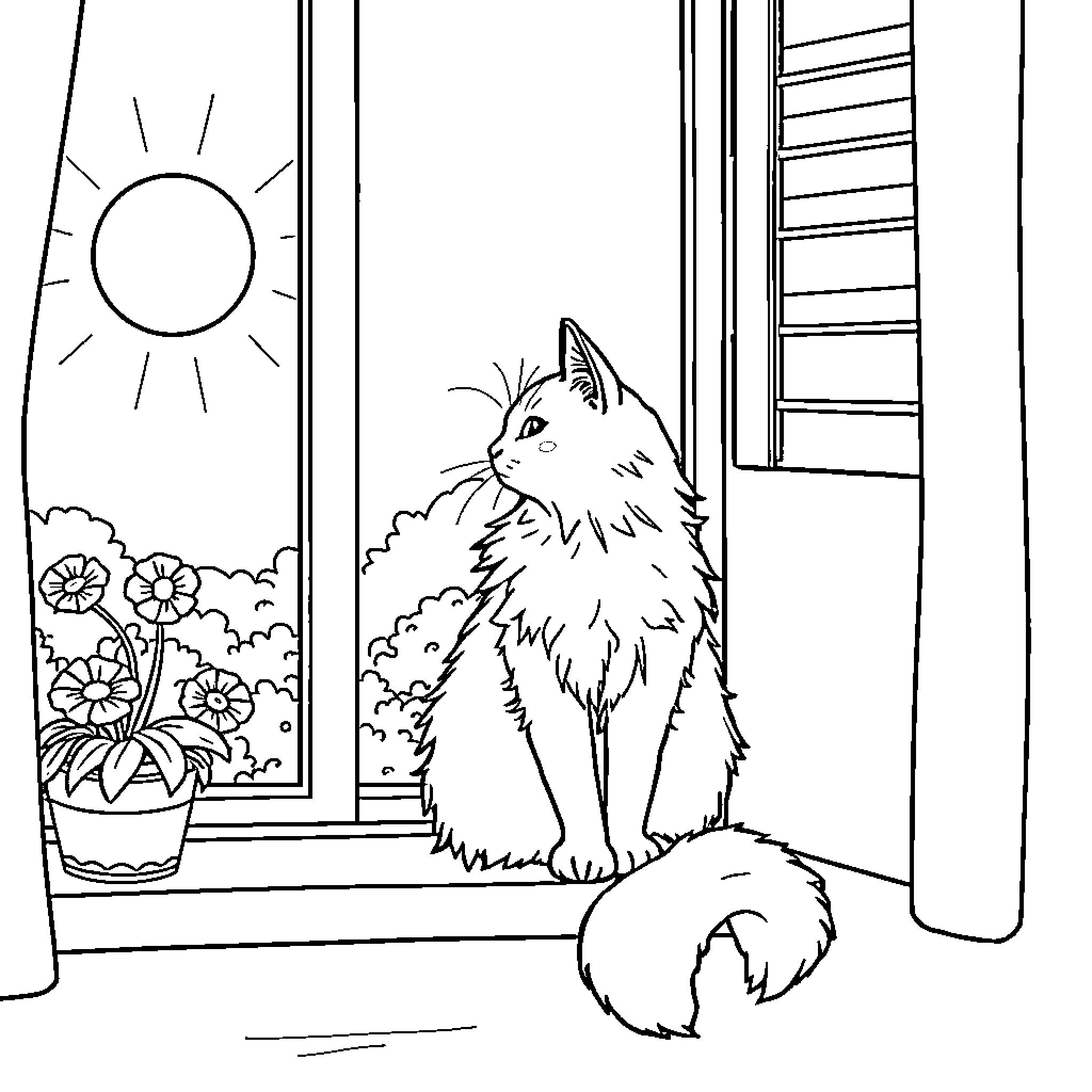 Cat looking out window on sunny day Coloring Page (free black-and-white line drawing printable PDF for all, from beginners to advanced learners, including children, teens, adults, and seniors)