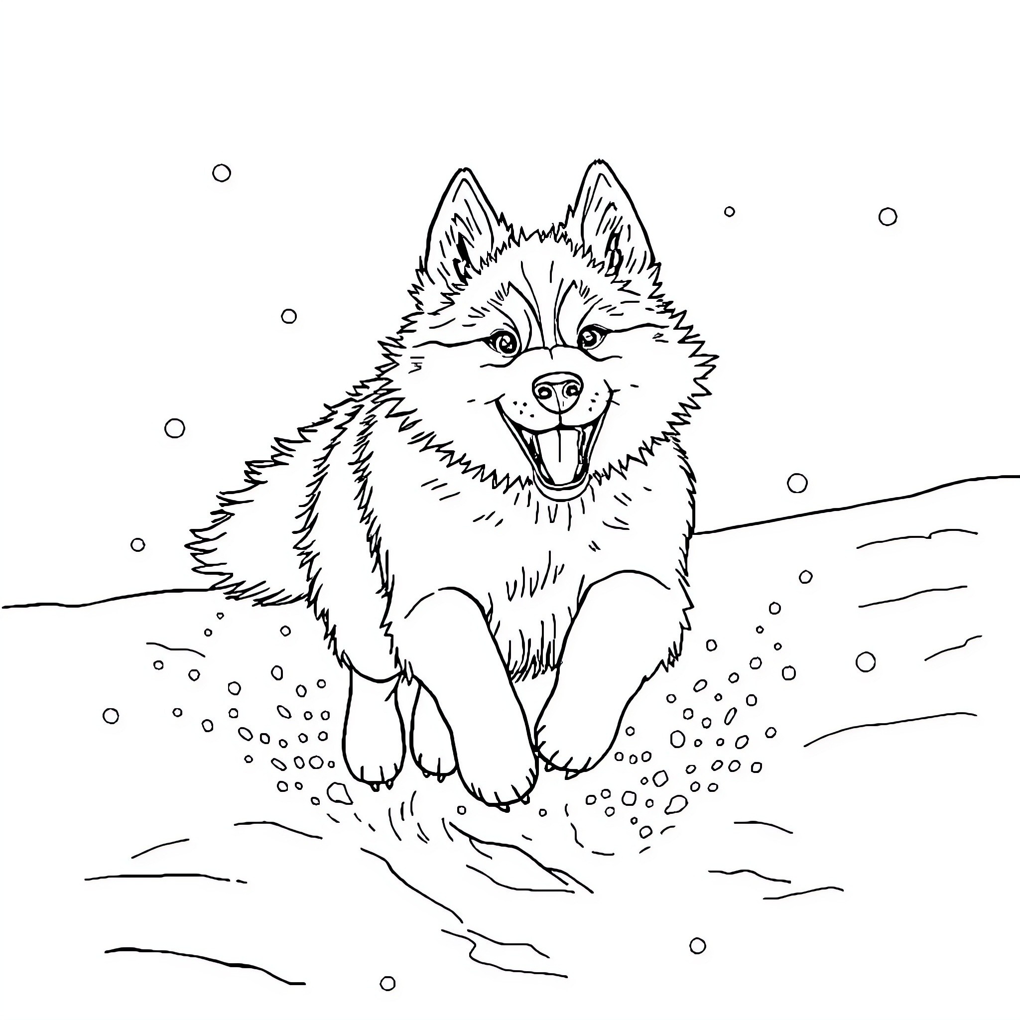 Husky playing joyfully in the snow Coloring Page (free black-and-white line drawing printable PDF for all, from beginners to advanced learners, including children, teens, adults, and seniors)