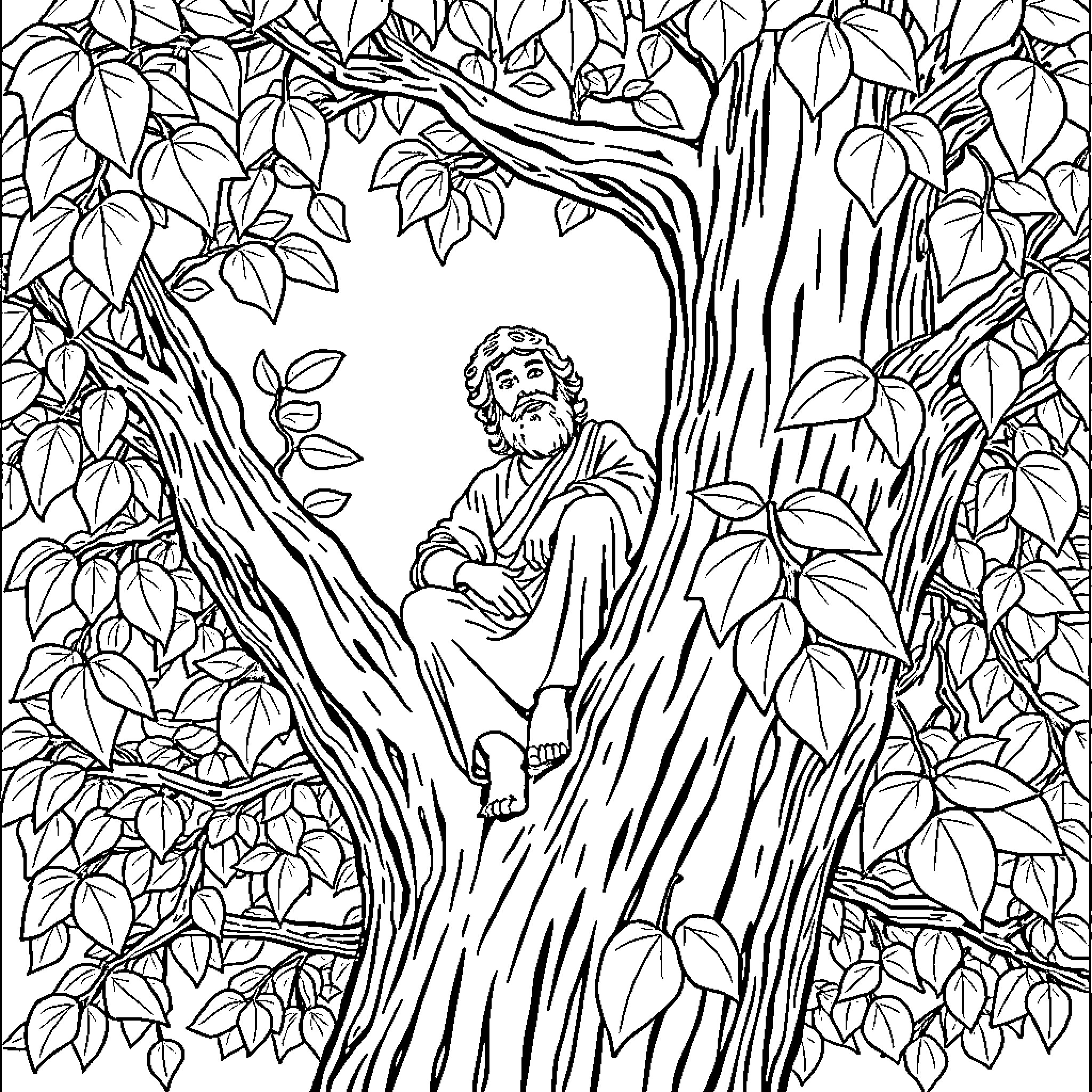 Zaccheus resting in the branches of a tree Coloring Page (free black-and-white line drawing printable PDF for all, from beginners to advanced learners, including children, teens, adults, and seniors)