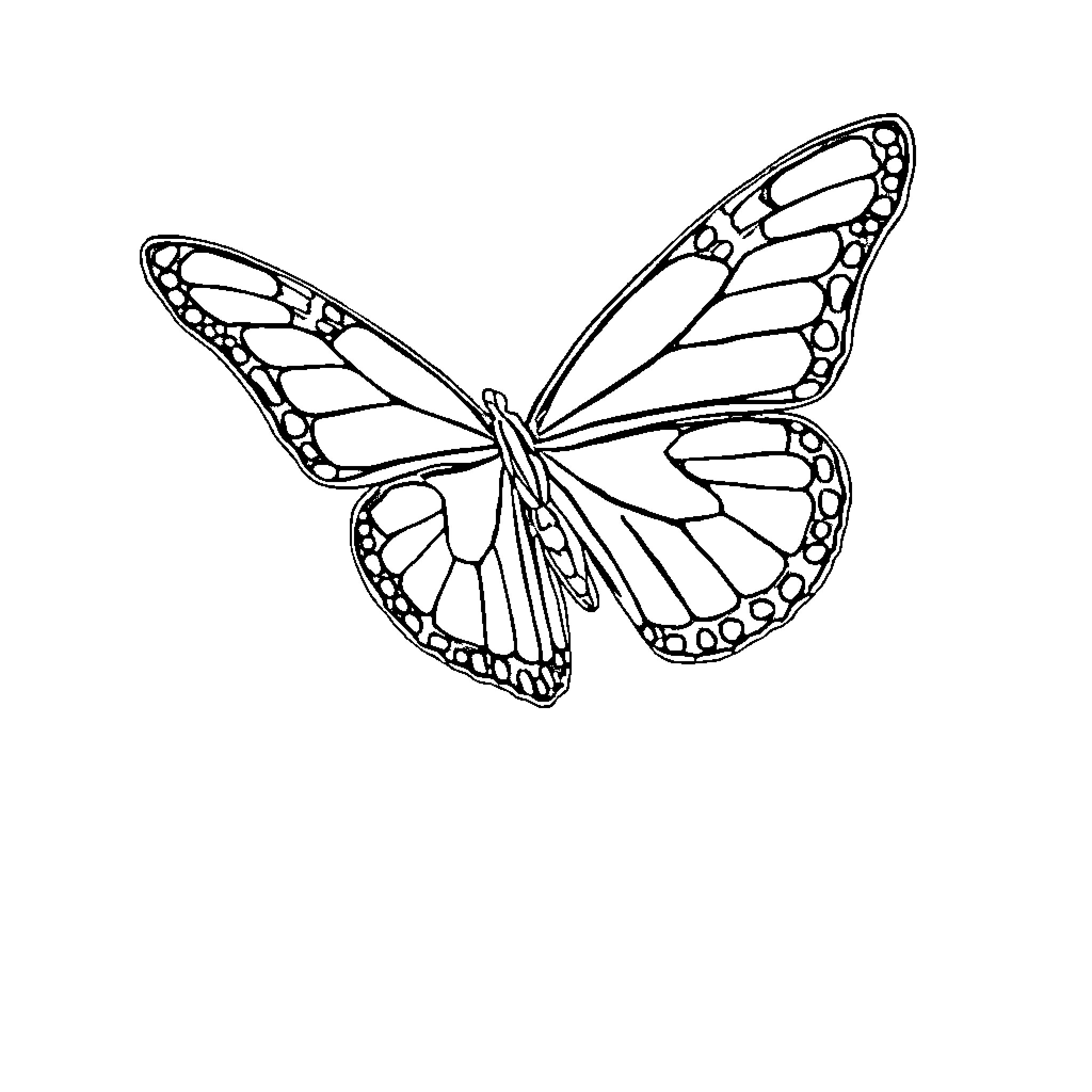 Mariposa's Elegant Transformation Coloring Page (free black-and-white line drawing printable PDF for all, from beginners to advanced learners, including children, teens, adults, and seniors)