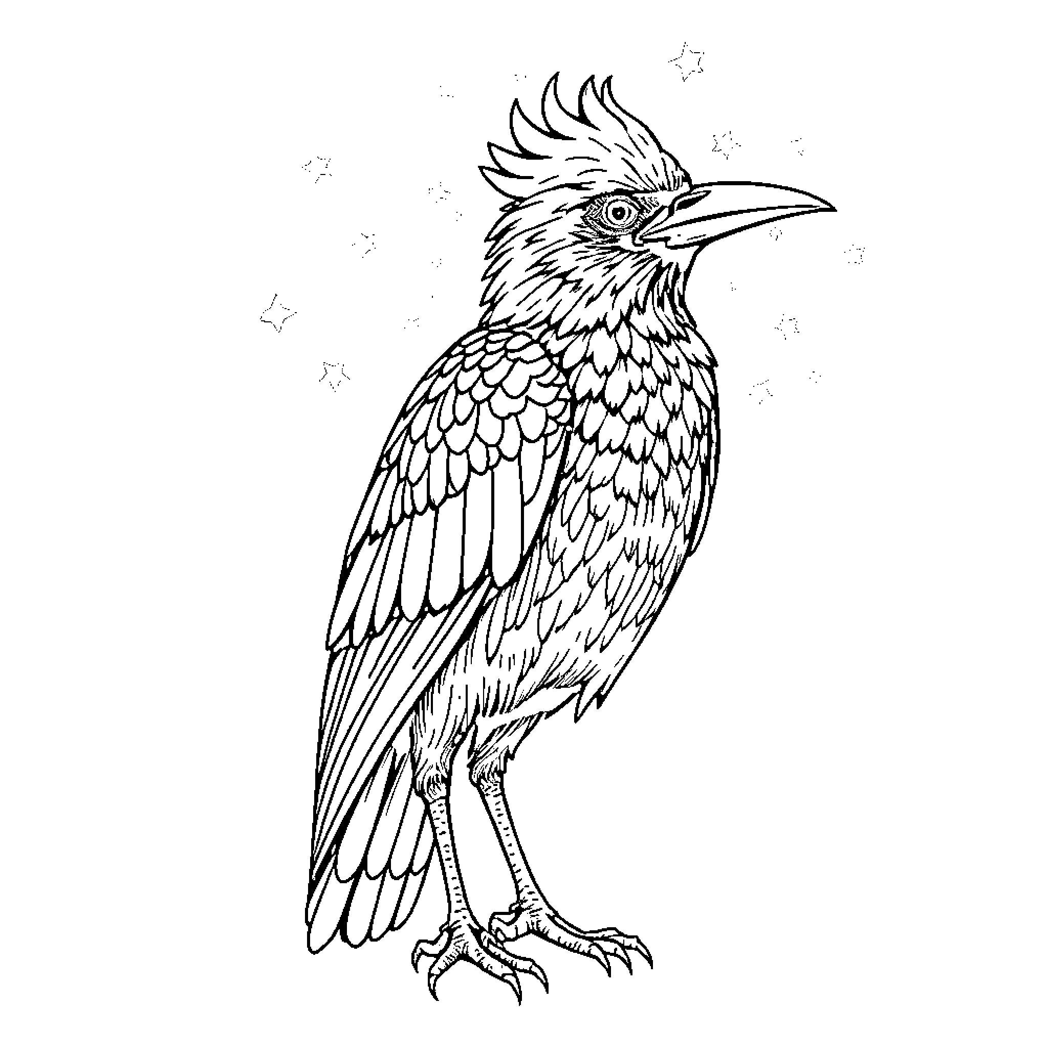 Cuervo - Detailed Illustration of a Unique Bird Coloring Page (free black-and-white line drawing printable PDF for all, from beginners to advanced learners, including children, teens, adults, and seniors)