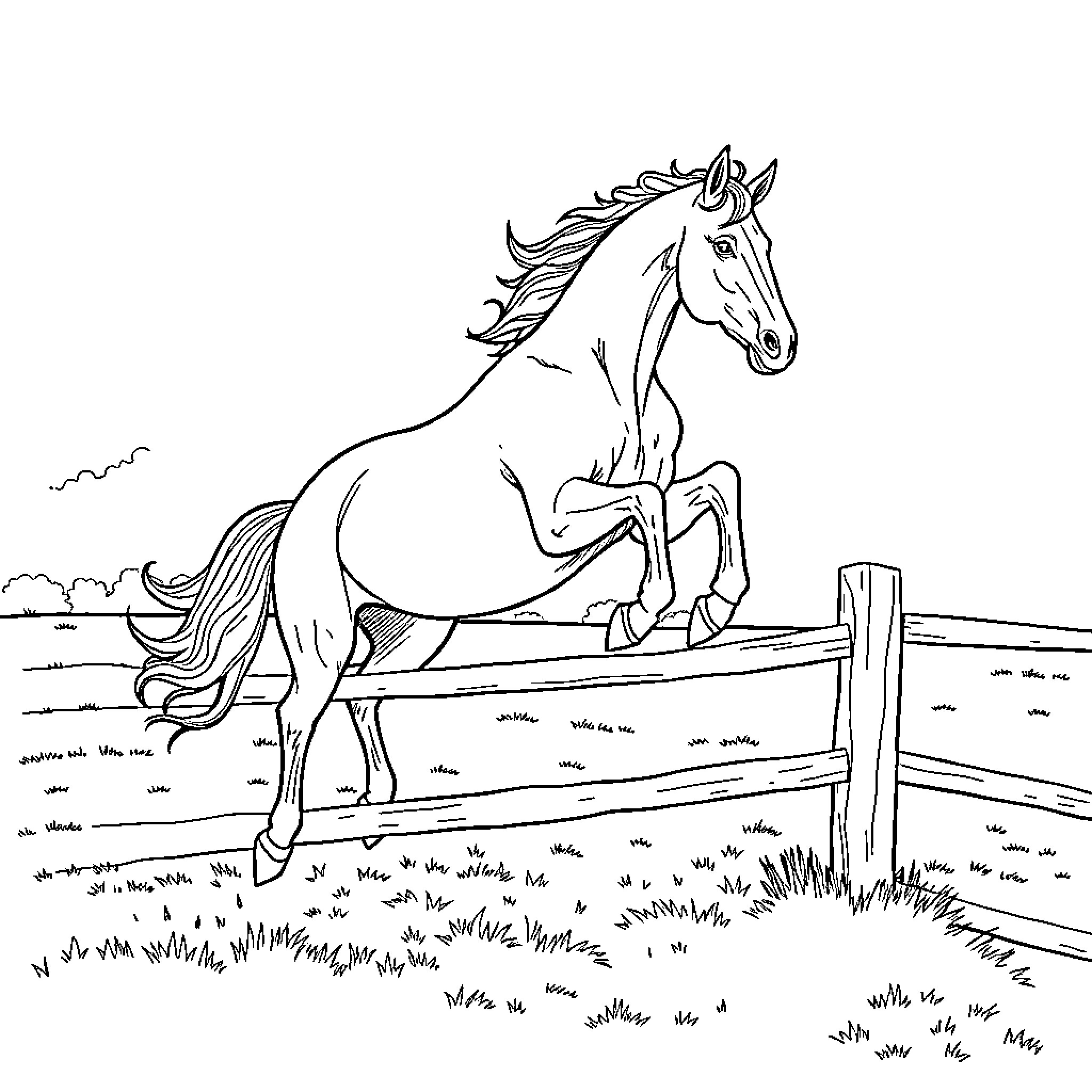 Horse galloping gracefully in the countryside Coloring Page (free black-and-white line drawing printable PDF for all, from beginners to advanced learners, including children, teens, adults, and seniors)
