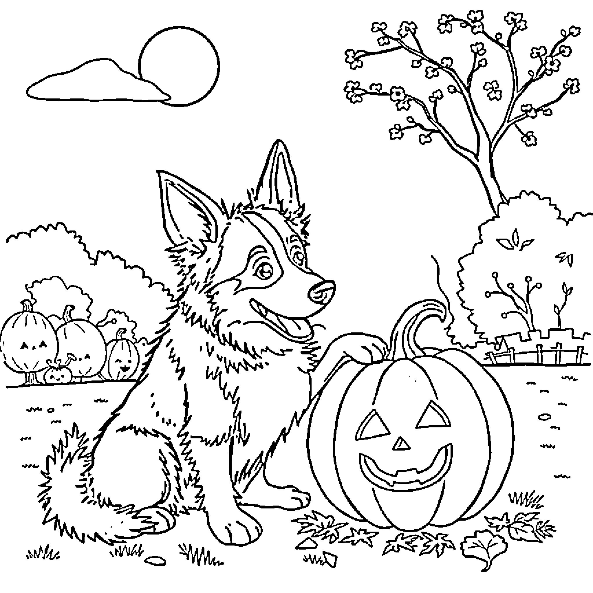 Bluey and the Pumpkin Patch Coloring Page (free black-and-white line drawing printable PDF for all, from beginners to advanced learners, including children, teens, adults, and seniors)