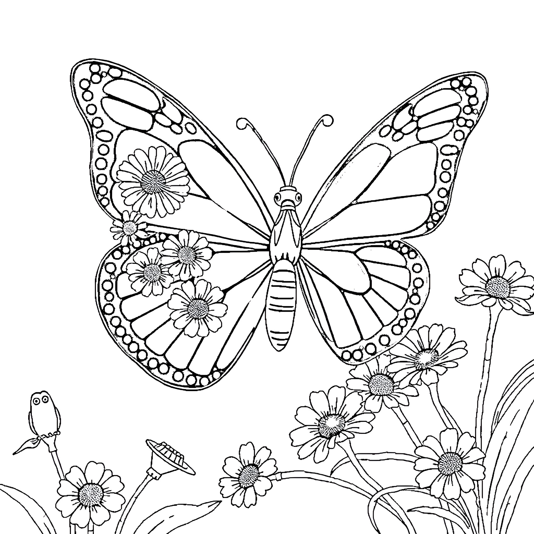 Butterfly Gracing Flowers with Delicate Wings Coloring Page (free black-and-white line drawing printable PDF for all, from beginners to advanced learners, including children, teens, adults, and seniors)