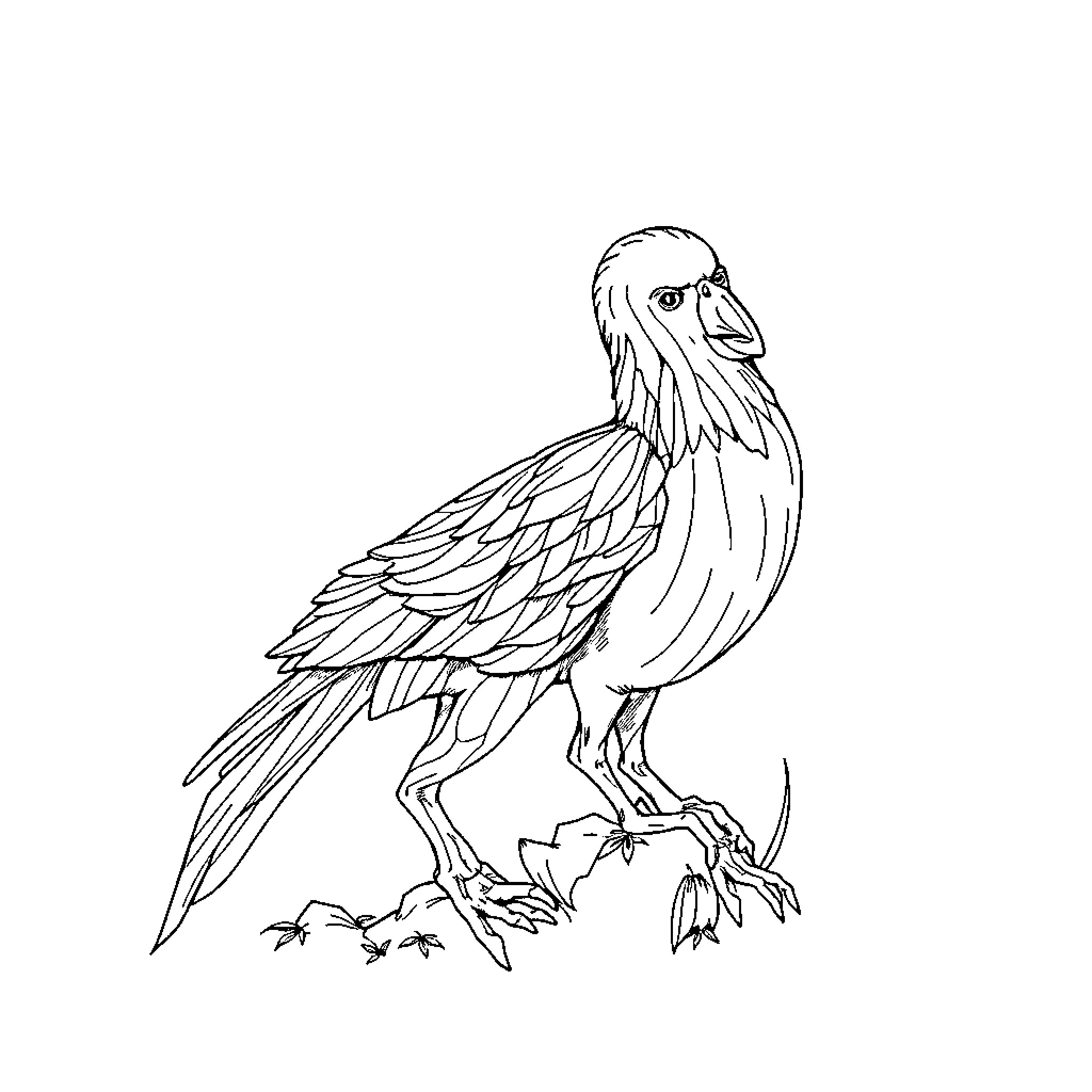 DrGraevling's Winged Creature in Flight Coloring Page (free black-and-white line drawing printable PDF for all, from beginners to advanced learners, including children, teens, adults, and seniors)