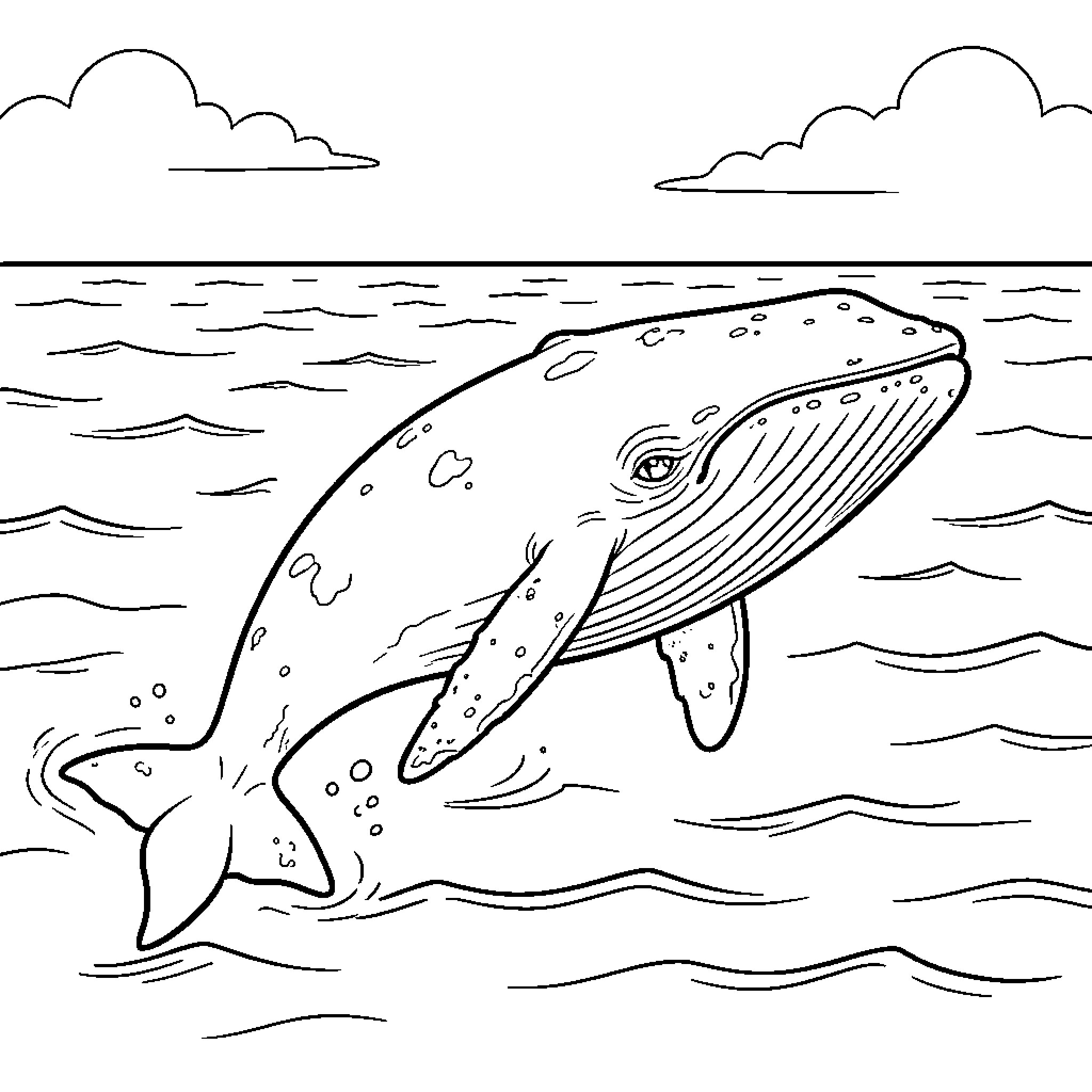 Whale swimming gracefully through the ocean waves Coloring Page (free black-and-white line drawing printable PDF for all, from beginners to advanced learners, including children, teens, adults, and seniors)