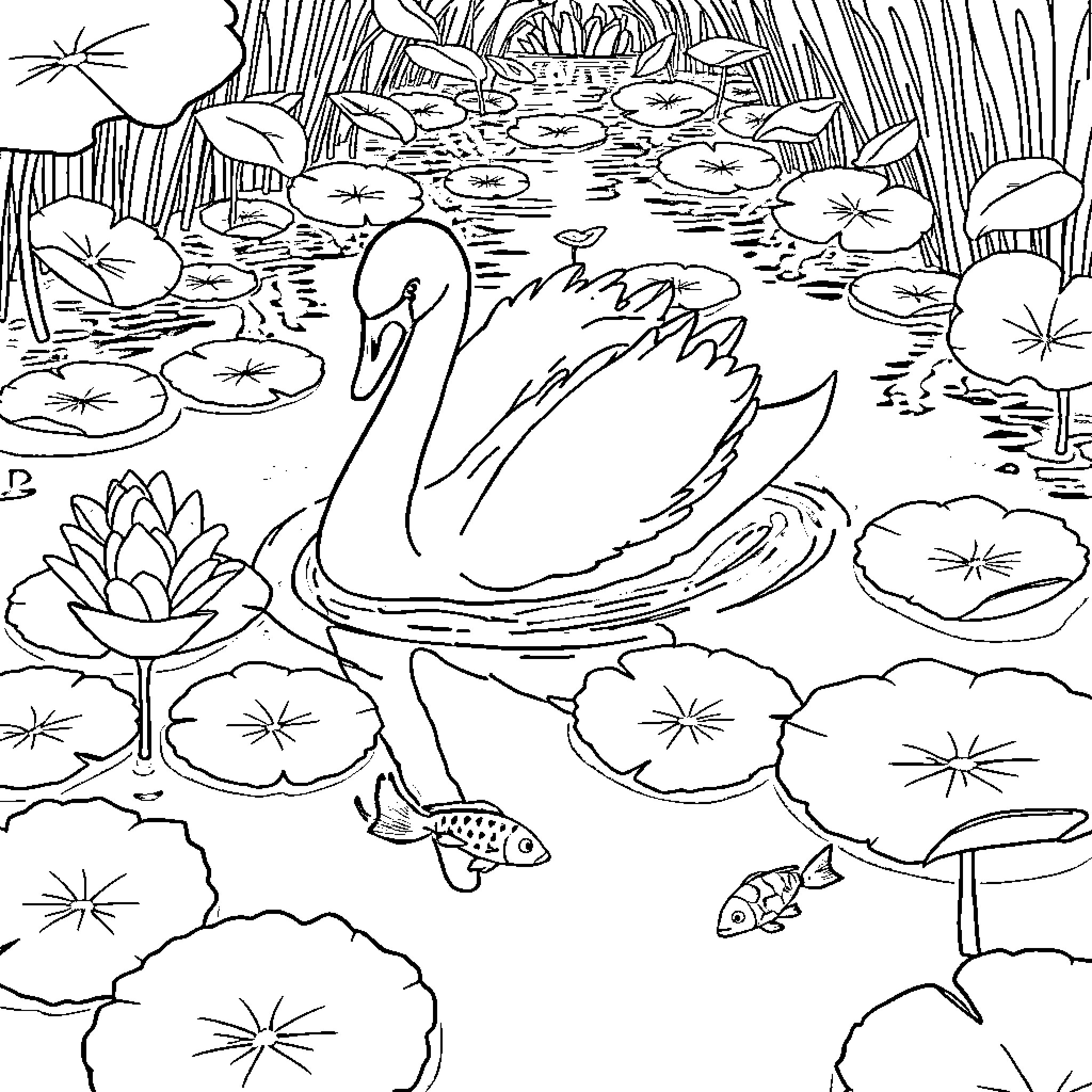 Swan swimming gracefully in a serene pond Coloring Page (free black-and-white line drawing printable PDF for all, from beginners to advanced learners, including children, teens, adults, and seniors)