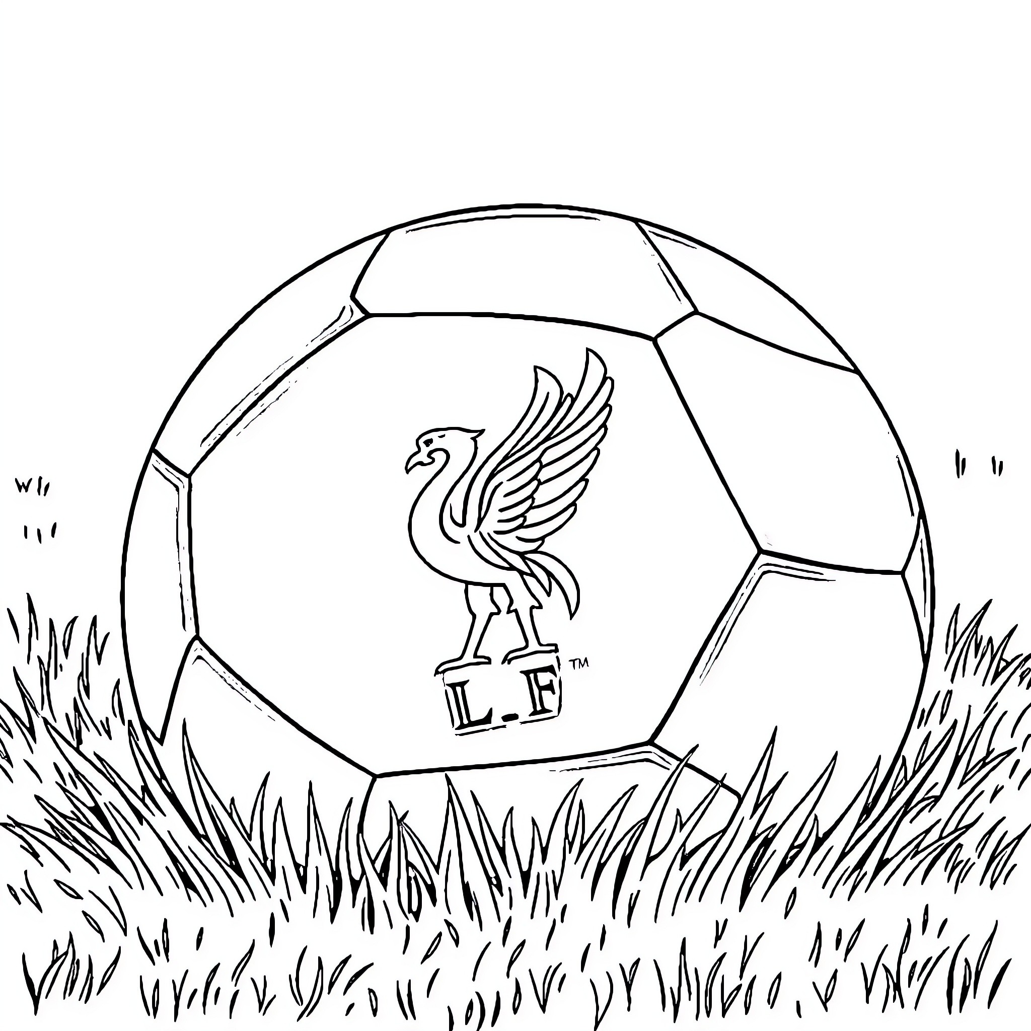 Ball with logo on grassy field Coloring Page (free black-and-white line drawing printable PDF for all, from beginners to advanced learners, including children, teens, adults, and seniors)
