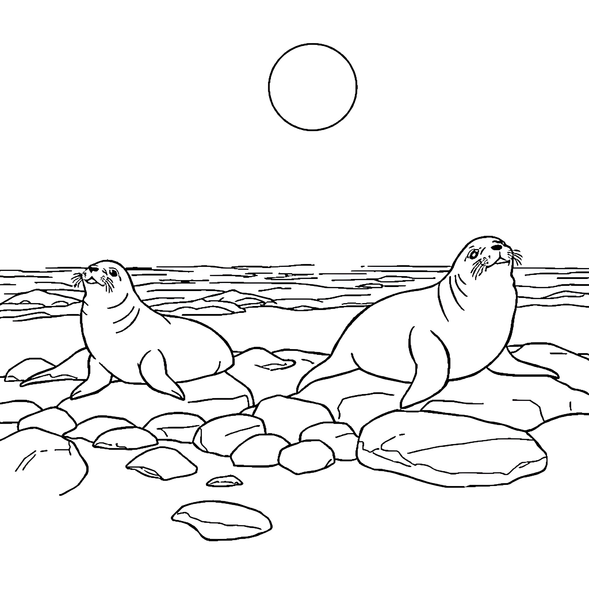 Seal resting on rocky shore under the moon Coloring Page (free black-and-white line drawing printable PDF for all, from beginners to advanced learners, including children, teens, adults, and seniors)