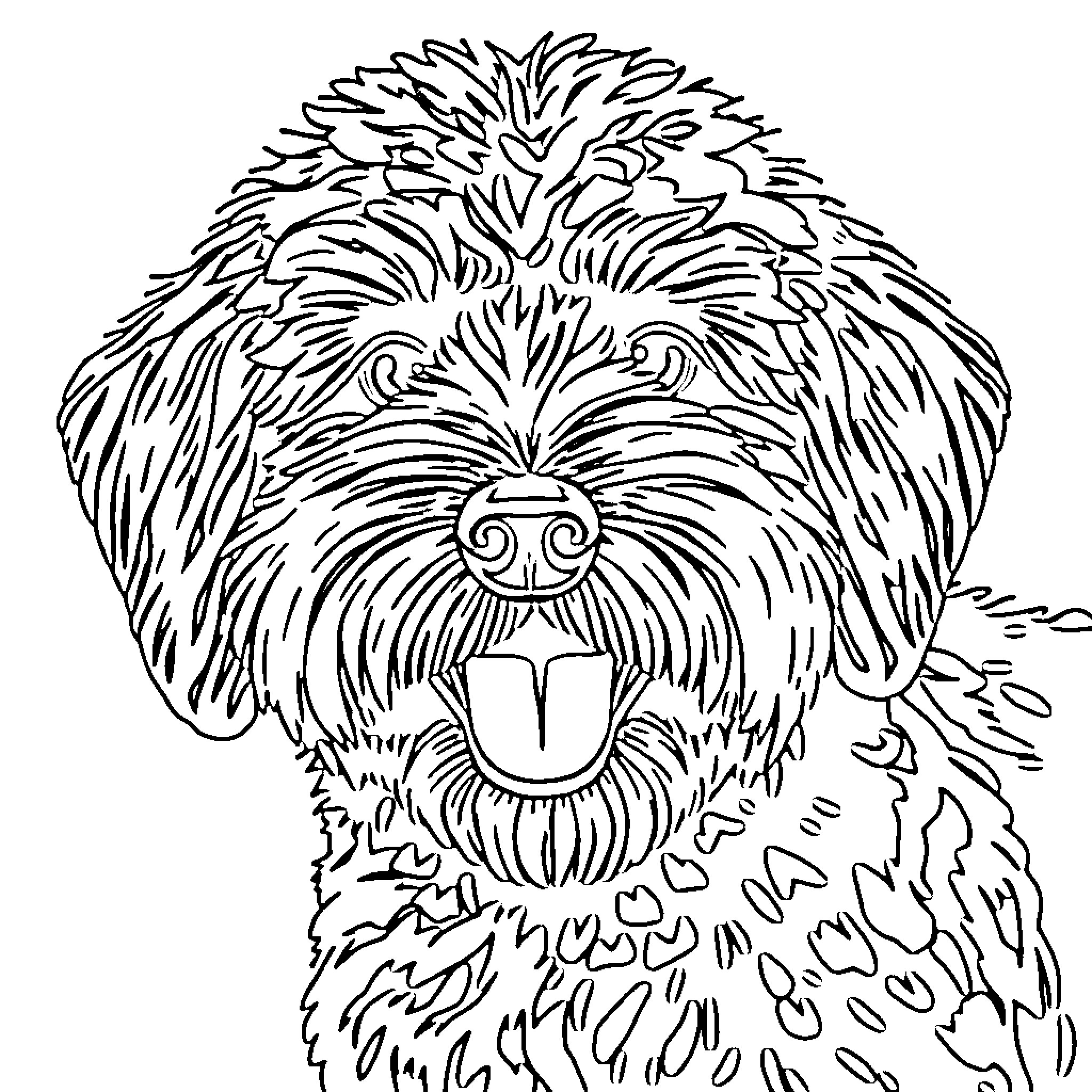 Labradoodle showing happy expression Coloring Page (free black-and-white line drawing printable PDF for all, from beginners to advanced learners, including children, teens, adults, and seniors)