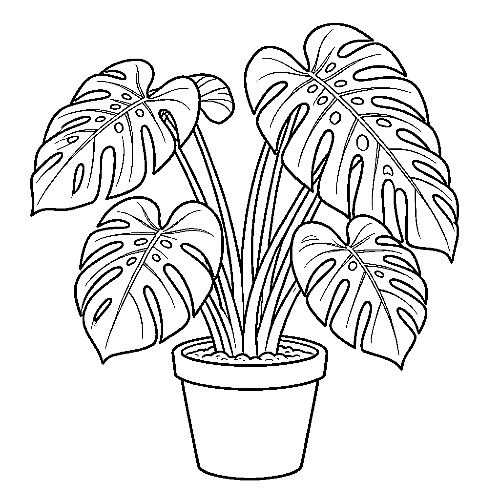 Monstera plant growing peacefully in a simple pot Coloring Page (free black-and-white line drawing printable PDF for all, from beginners to advanced learners, including children, teens, adults, and seniors)