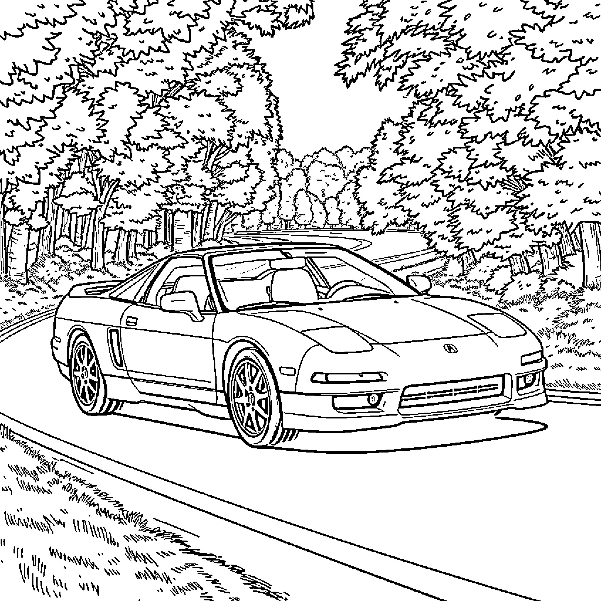 Acura sports car speeding through forested road Coloring Page (free black-and-white line drawing printable PDF for all, from beginners to advanced learners, including children, teens, adults, and seniors)