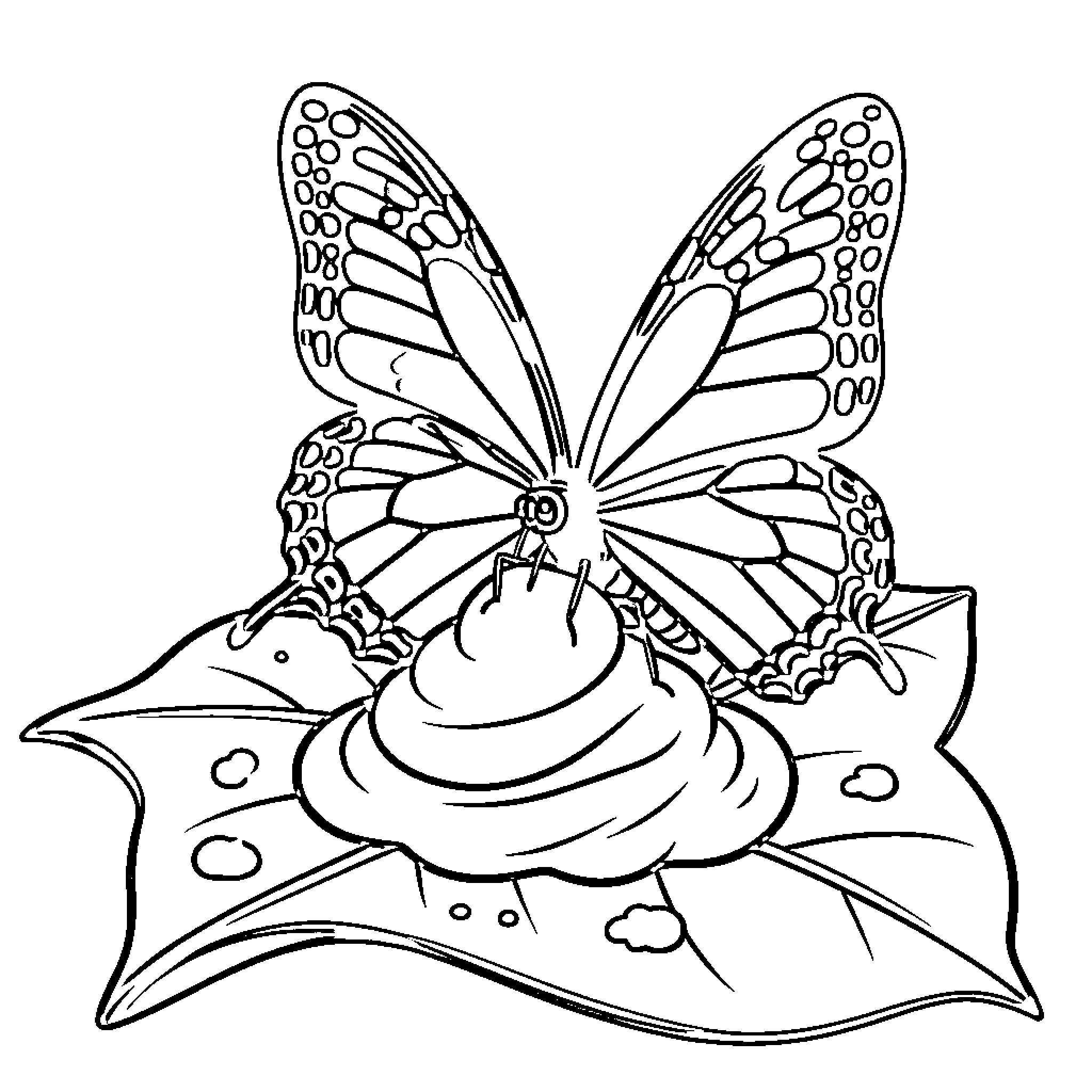 Butterfly resting on a leaf Coloring Page (free black-and-white line drawing printable PDF for all, from beginners to advanced learners, including children, teens, adults, and seniors)