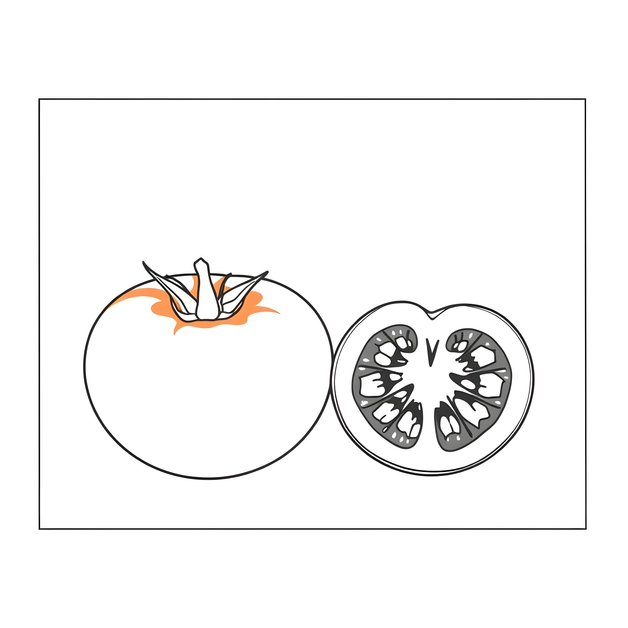 Tomato halves in a simple line drawing Coloring Page (free black-and-white line drawing printable PDF for all, from beginners to advanced learners, including children, teens, adults, and seniors)