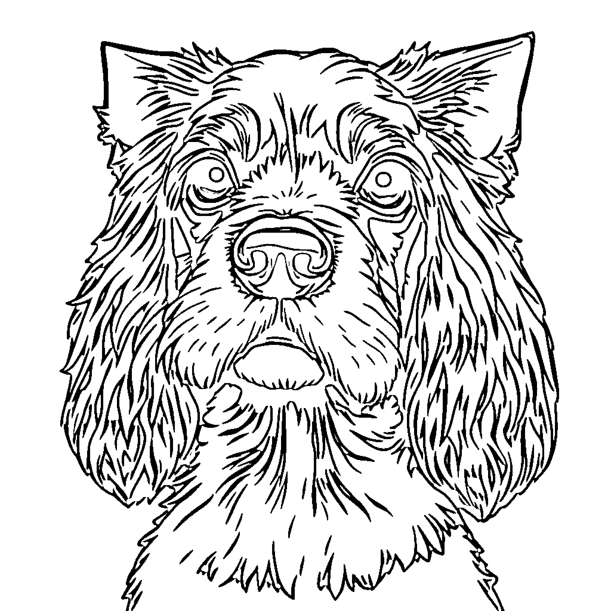 Cocker Spaniel with Expressive Features Coloring Page (free black-and-white line drawing printable PDF for all, from beginners to advanced learners, including children, teens, adults, and seniors)