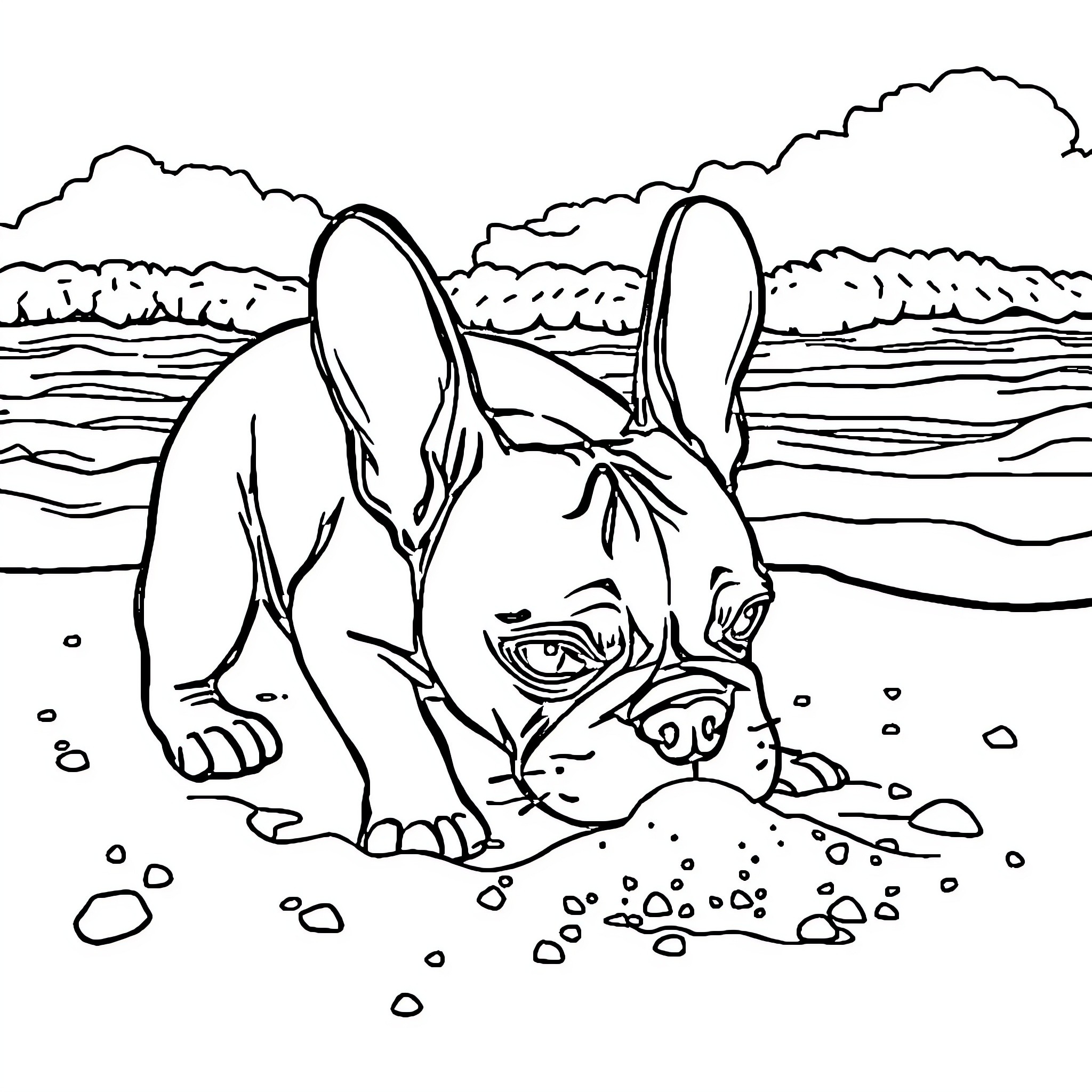 French Bulldog playing in the sand Coloring Page (free black-and-white line drawing printable PDF for all, from beginners to advanced learners, including children, teens, adults, and seniors)