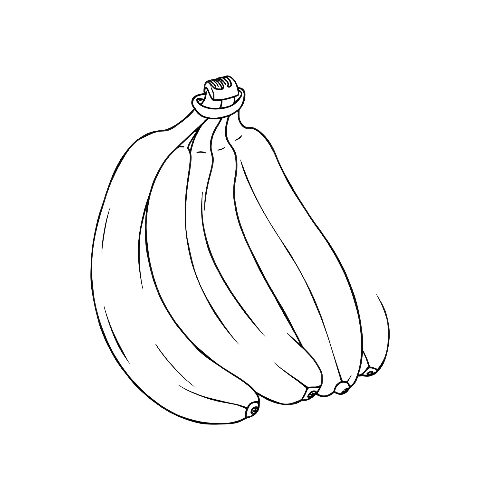 Banana Bunch Illustration Coloring Page (free black-and-white line drawing printable PDF for all, from beginners to advanced learners, including children, teens, adults, and seniors)