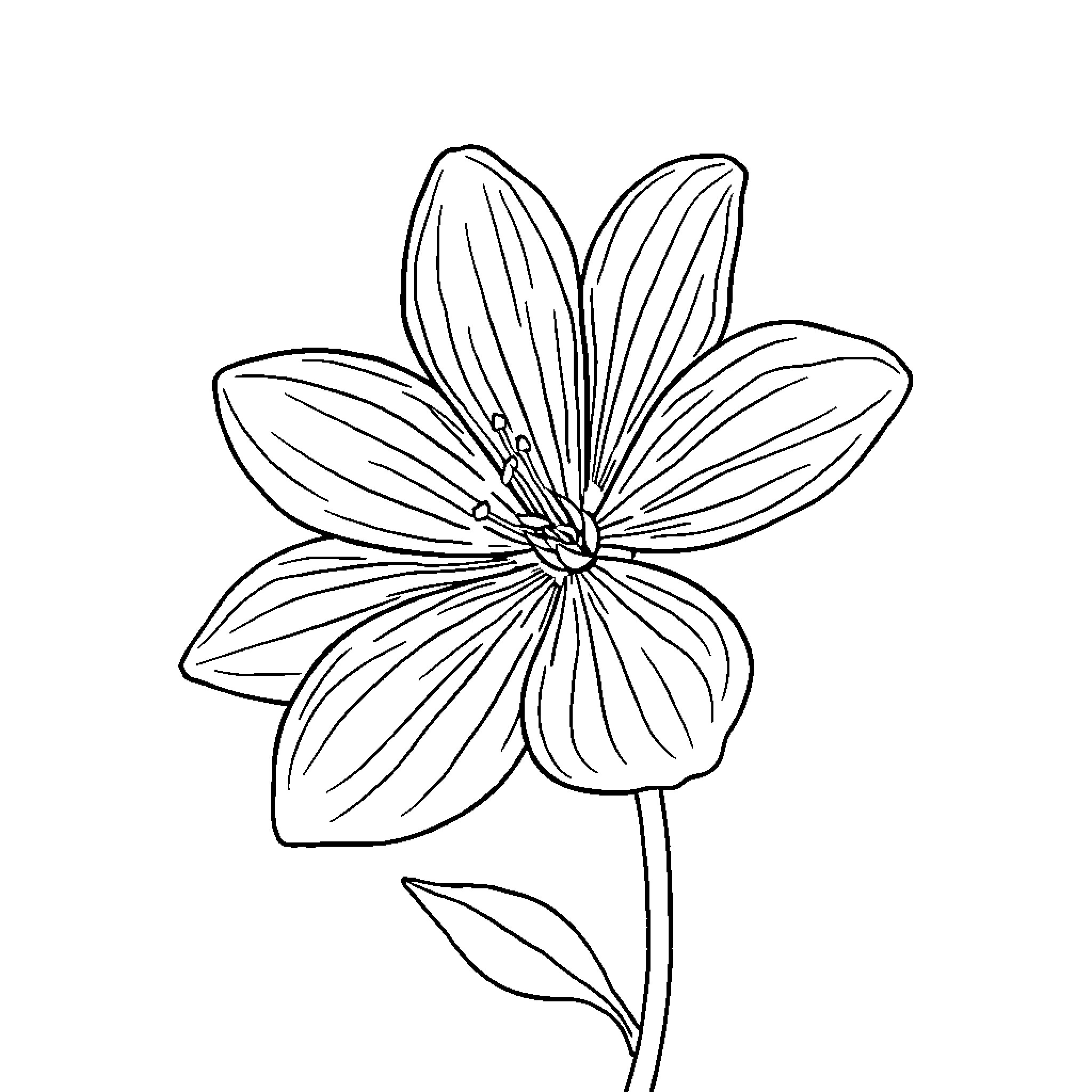 Bite of a Blooming Flower Coloring Page (free black-and-white line drawing printable PDF for all, from beginners to advanced learners, including children, teens, adults, and seniors)