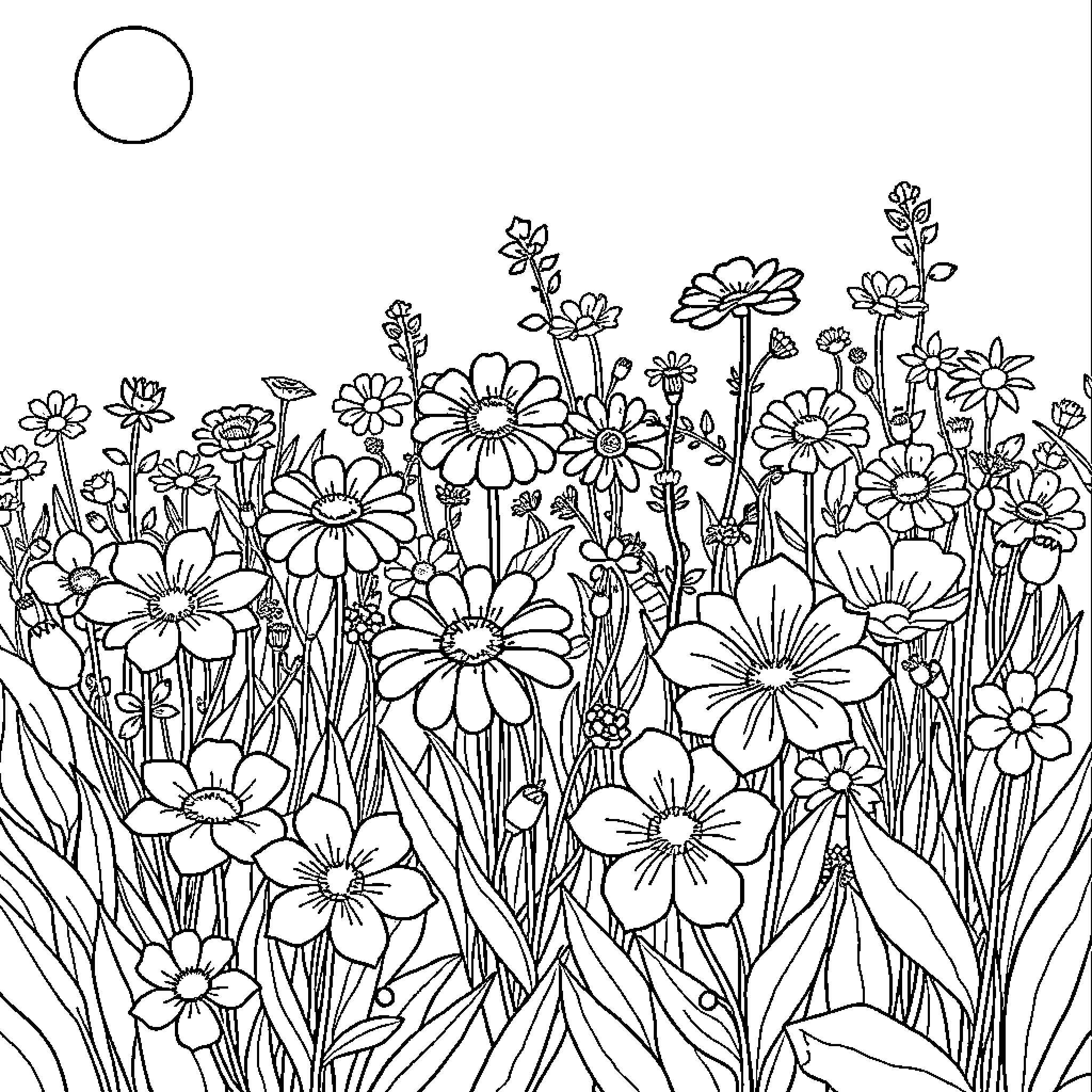Flower field of blooming wildflowers Coloring Page (free black-and-white line drawing printable PDF for all, from beginners to advanced learners, including children, teens, adults, and seniors)
