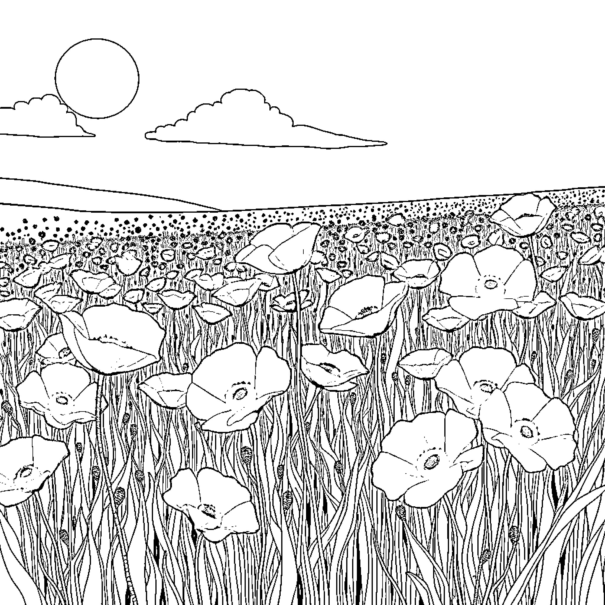 Poppy field under a bright sky Coloring Page (free black-and-white line drawing printable PDF for all, from beginners to advanced learners, including children, teens, adults, and seniors)